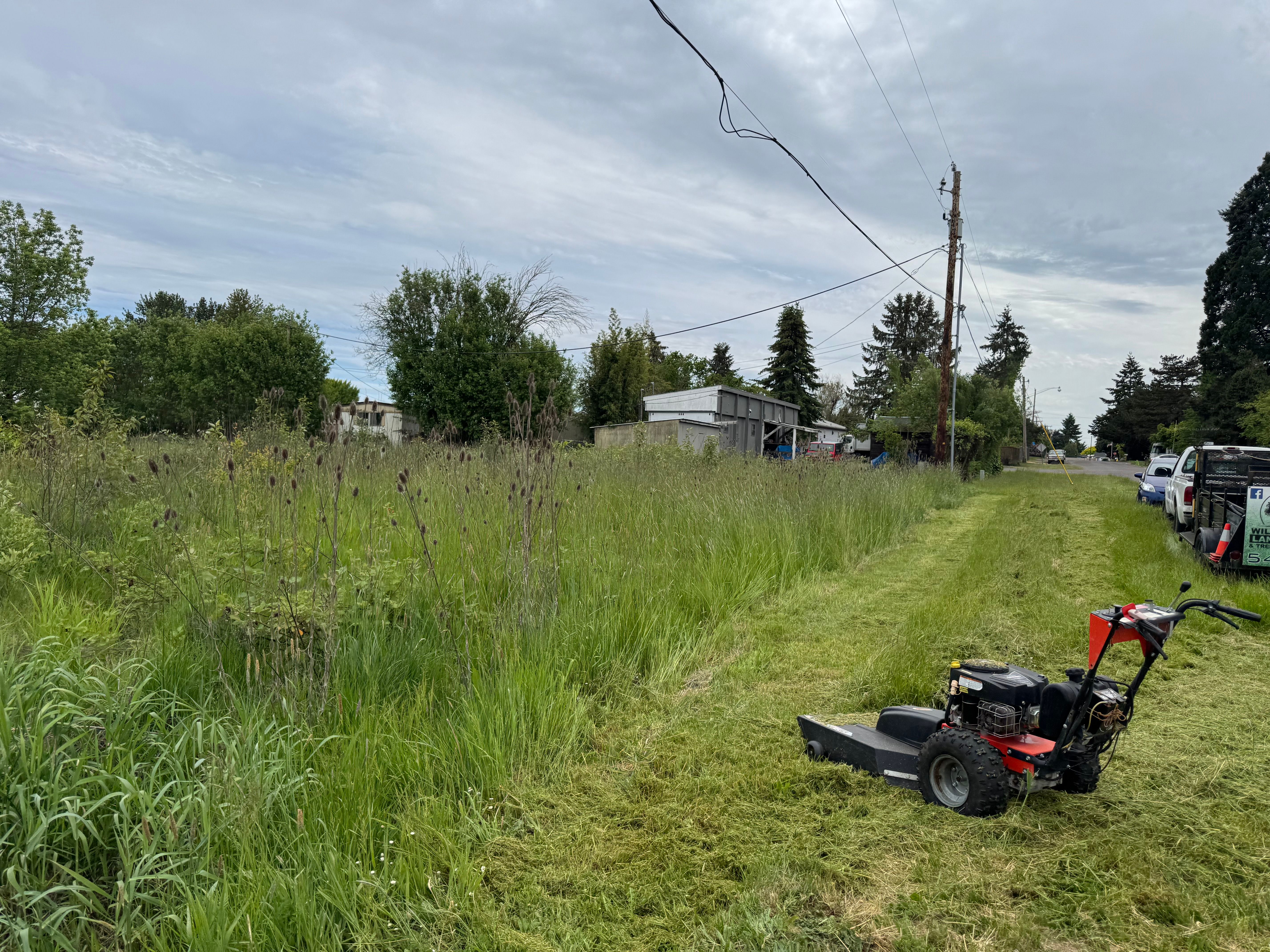 Lawn Maintenance for Willamette Landscaping & Tree Services in Albany, OR