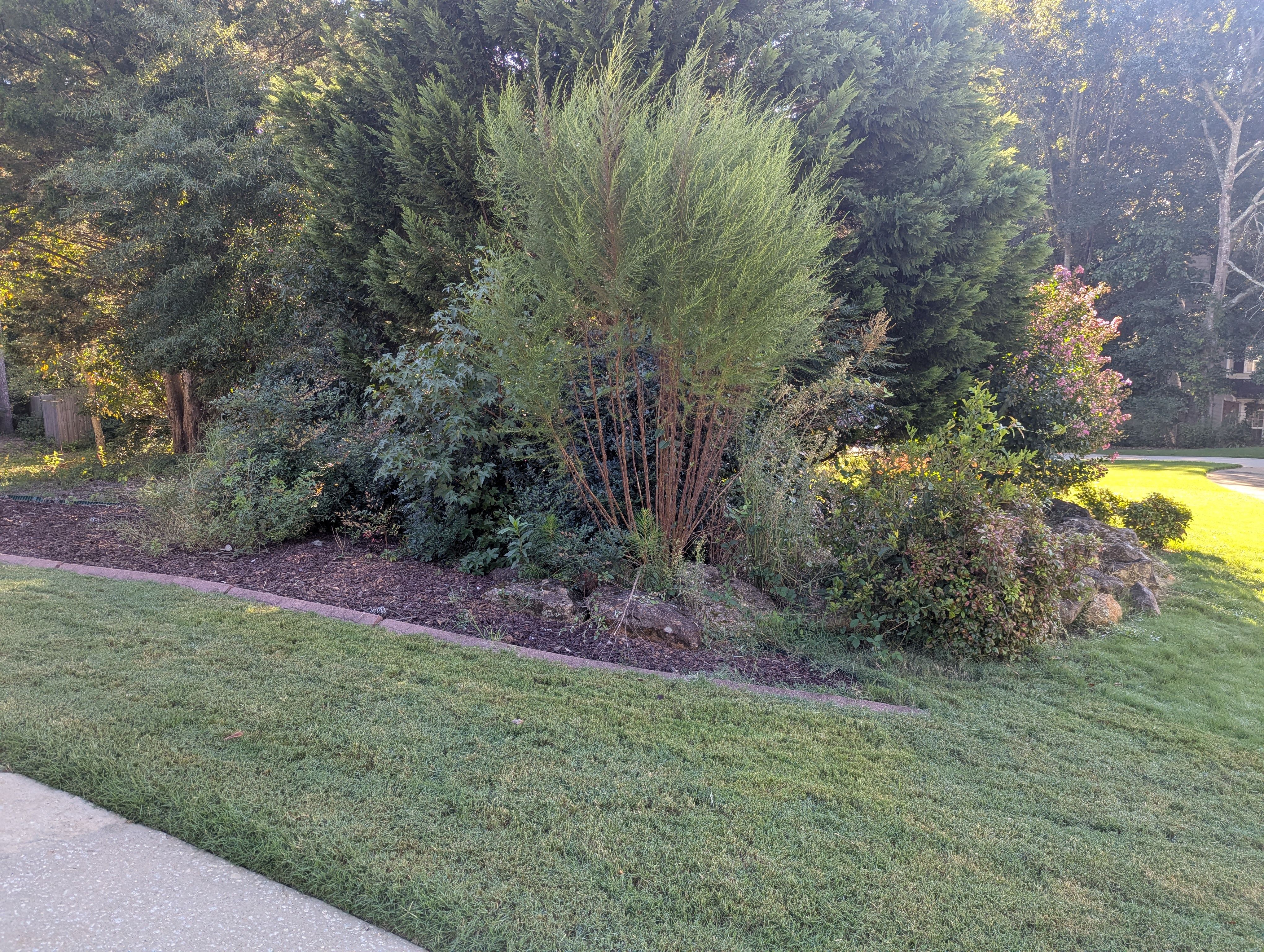  for Fantastic Lawn Care in Fayetteville, GA