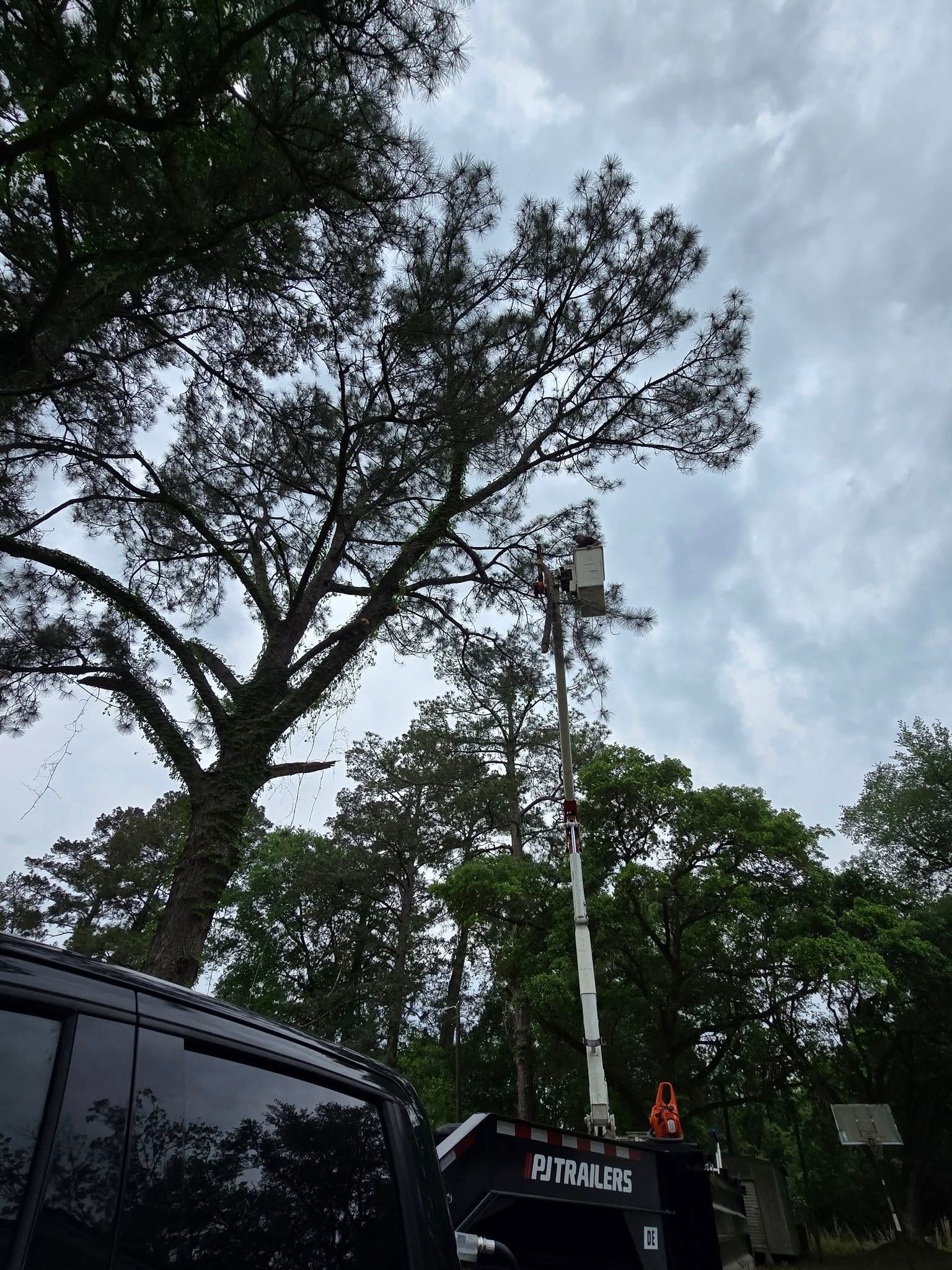  for Breaktime Tree Trimming & Removal in Oakdale, LA