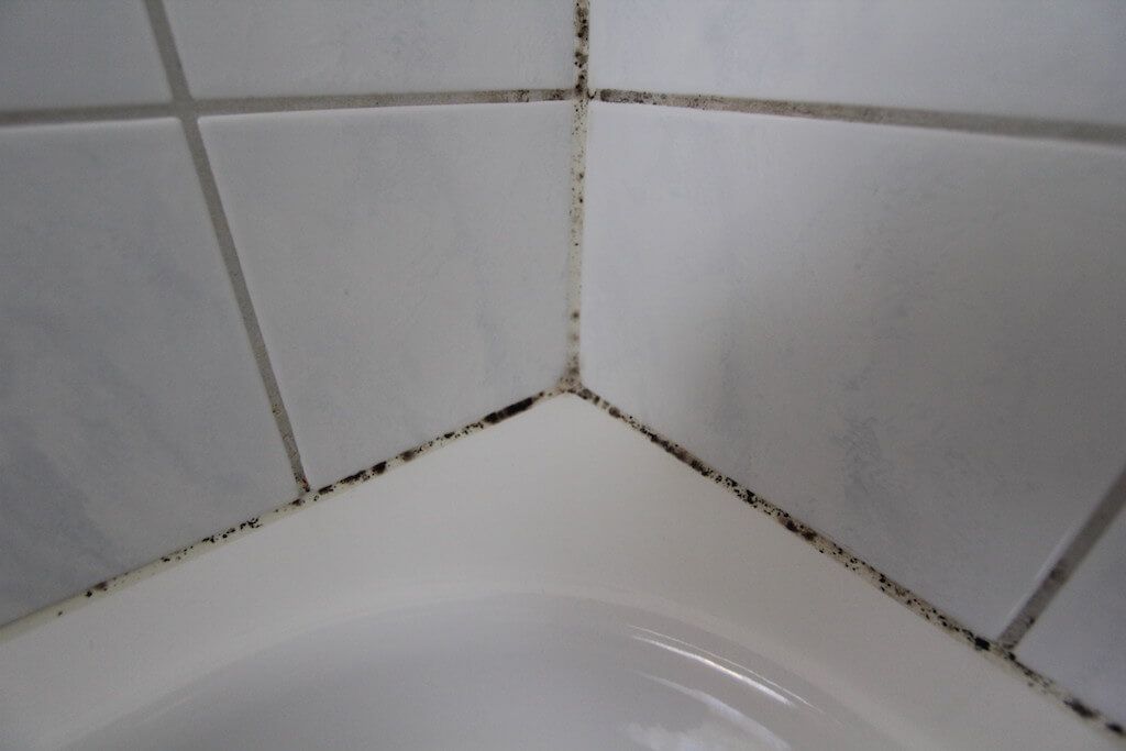  for Envirospec LLC in Salt Lake City, UT