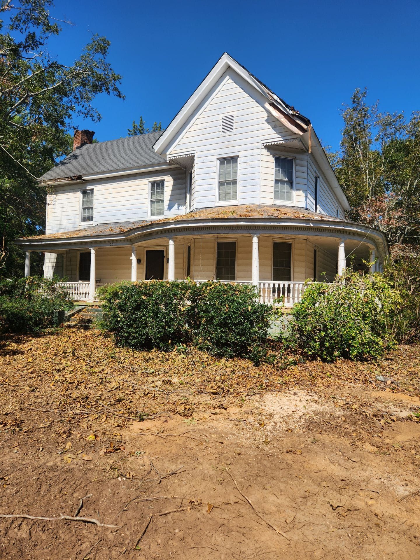 Tree Removal for Stumpbusters Tree Service in Louisa County, VA