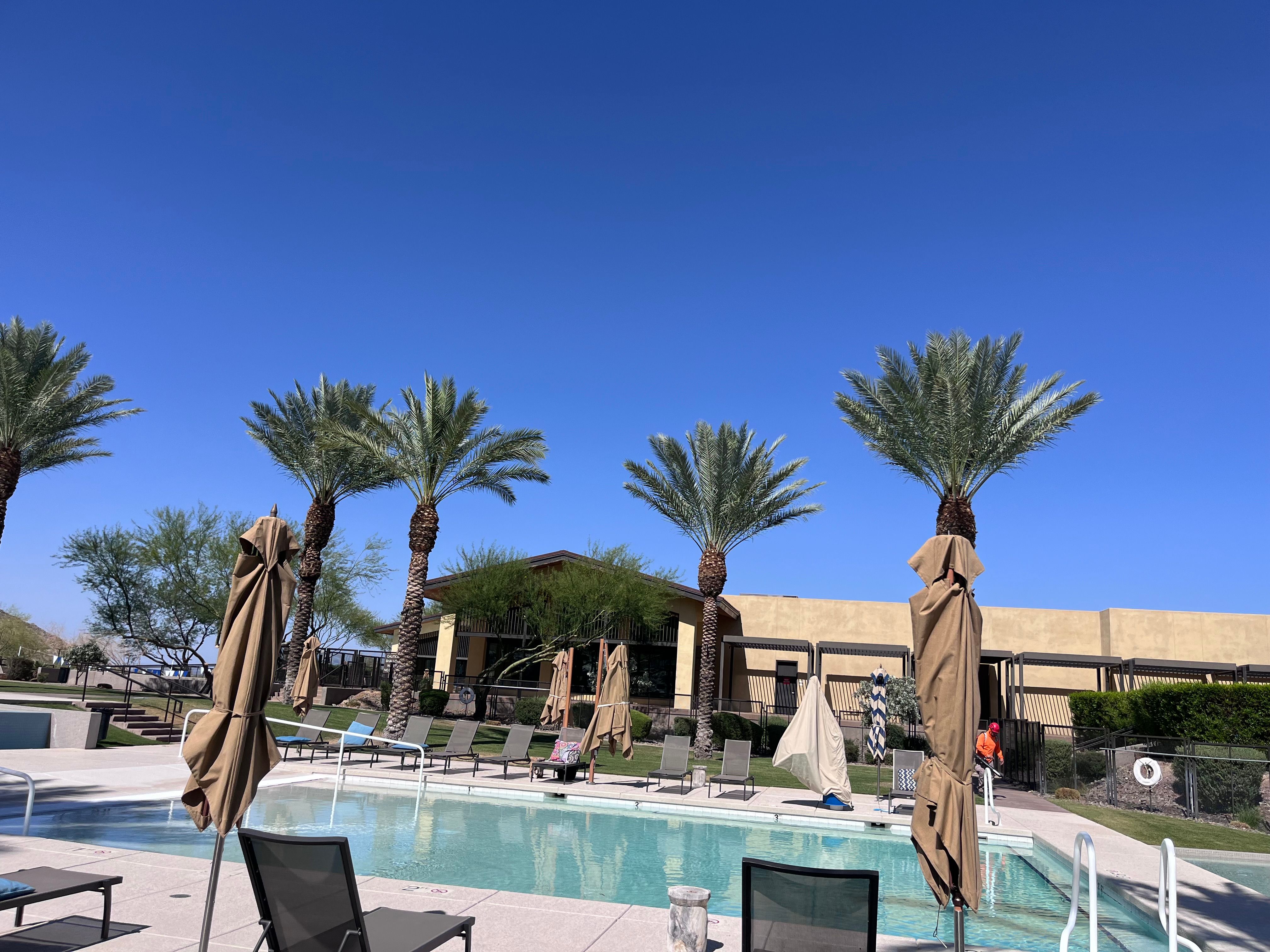  for AZ Tree & Hardscape Co in Surprise, AZ