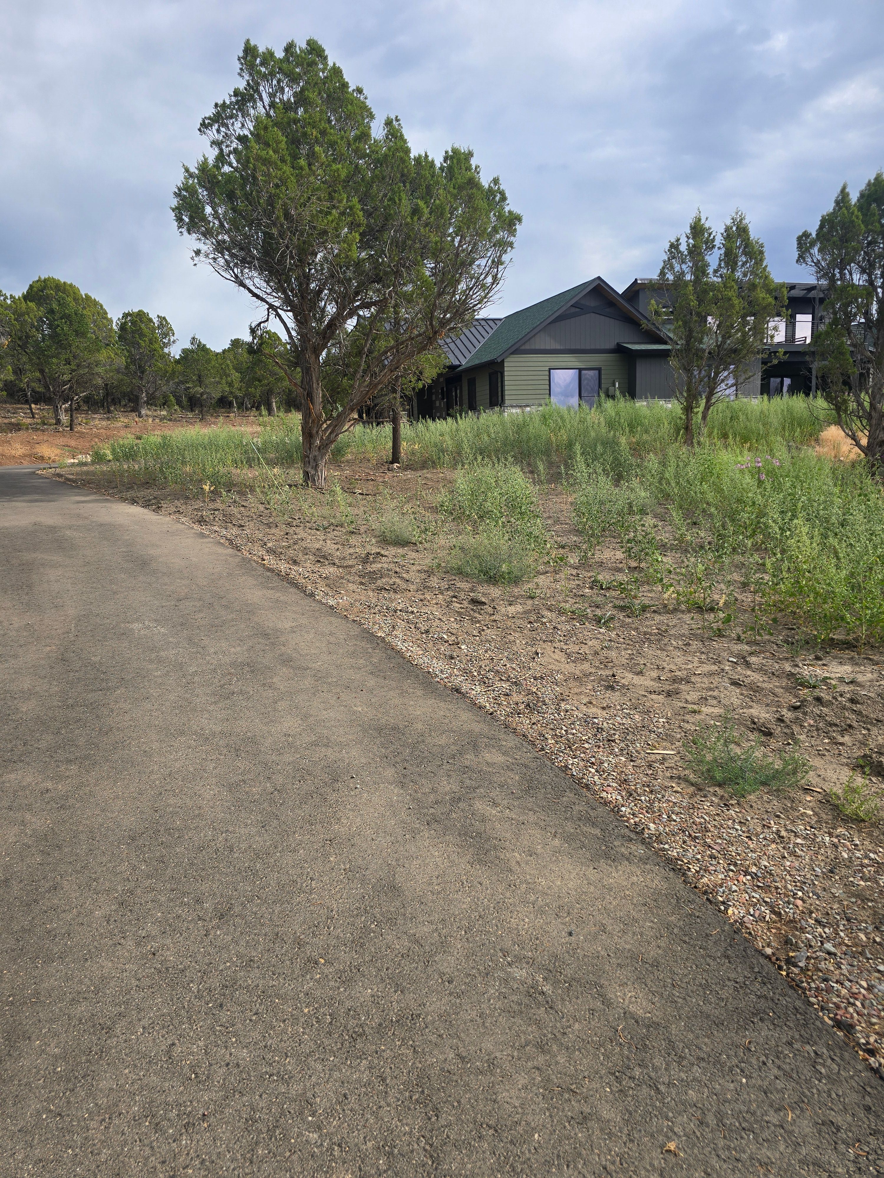 All Photos for LRS: Landscape, Rescue, Snow in Silt, CO