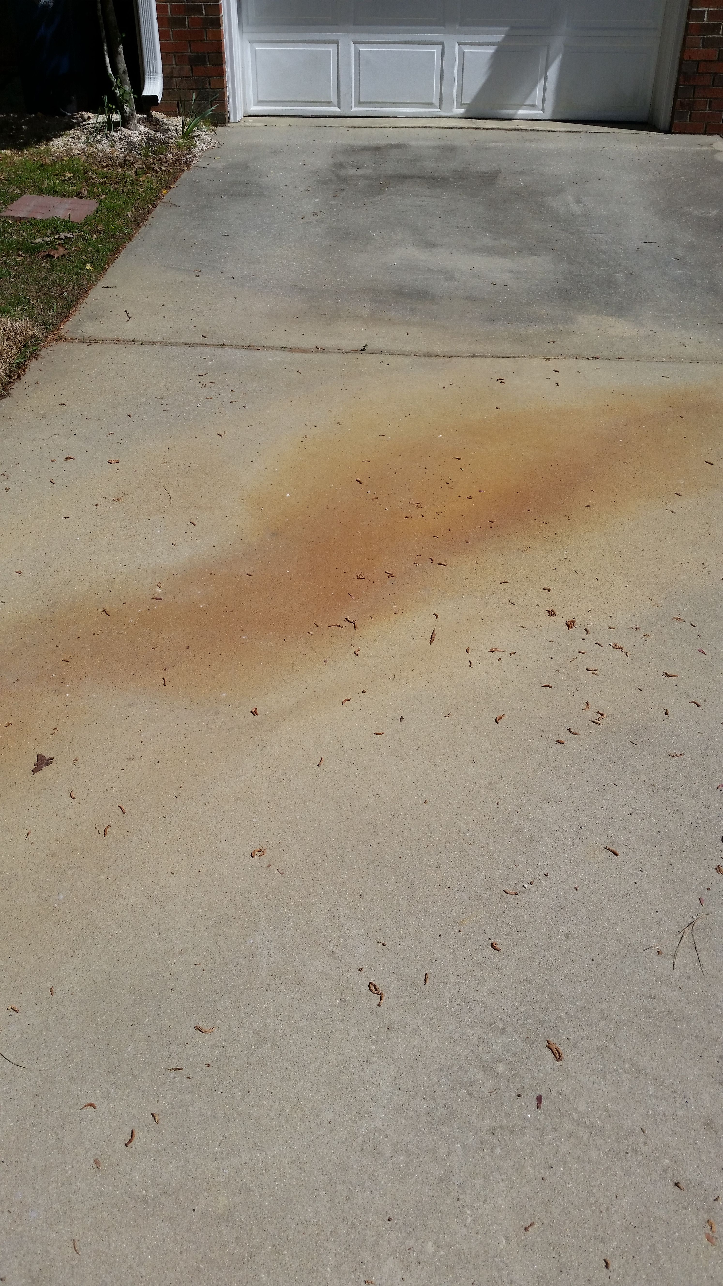  for Mancinas Home Improvement, Landscaping, & Lawn Care in Fayetteville, NC