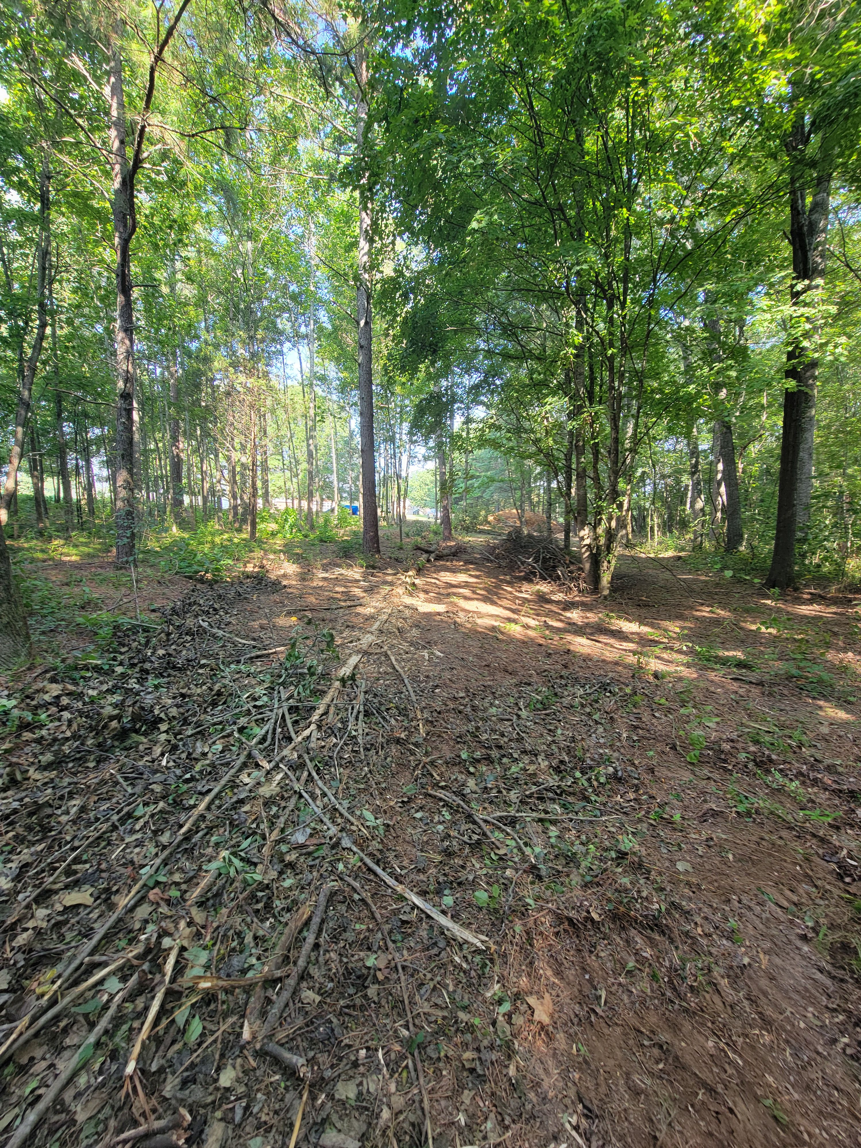  for Z's Land Management & Forestry Mulching in Smithville, TN