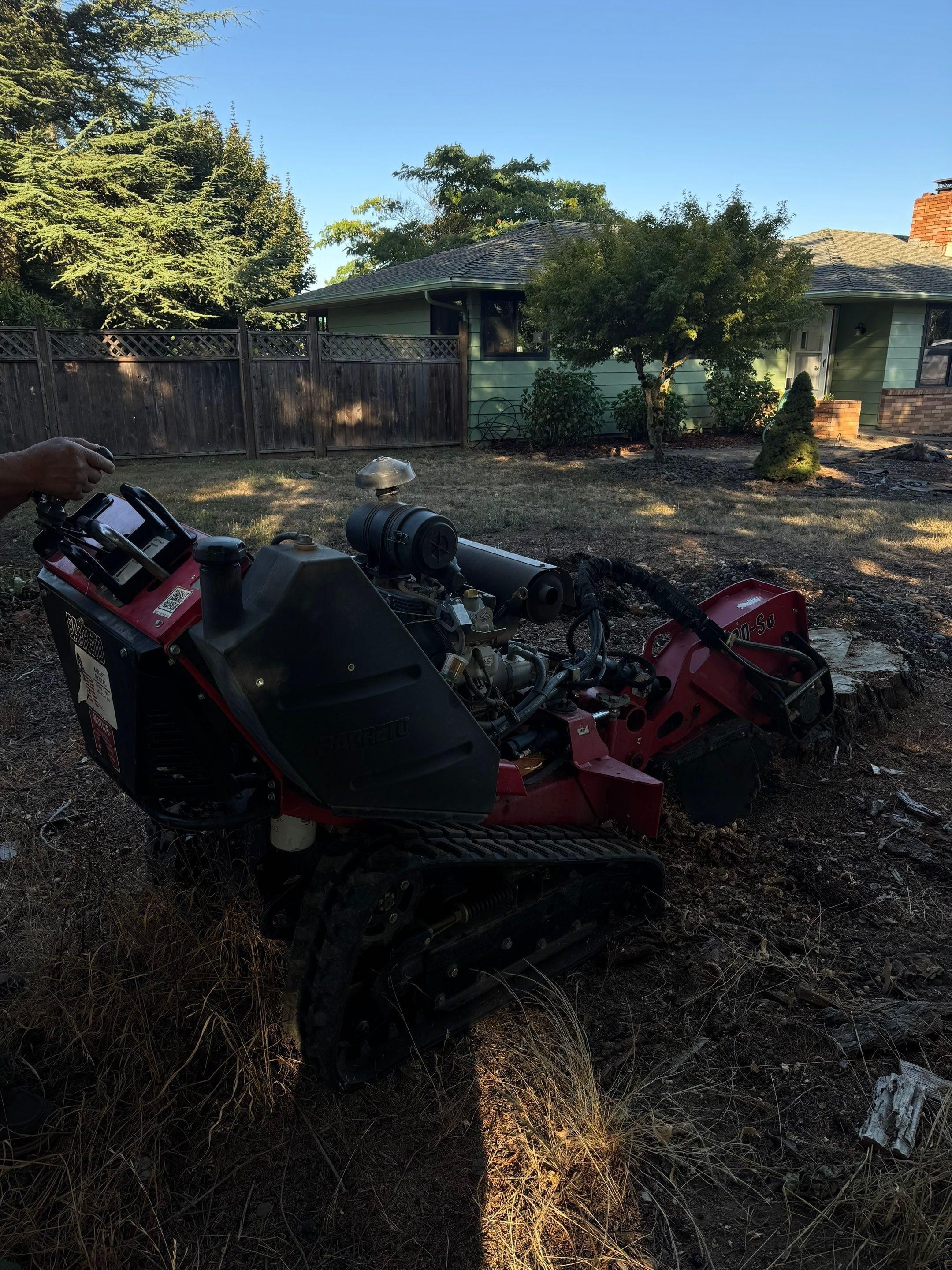 Stump grinding for Willamette Landscaping and Tree Services in Albany, OR
