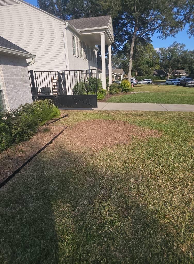  for Servin's Tree Care  in Houston, TX