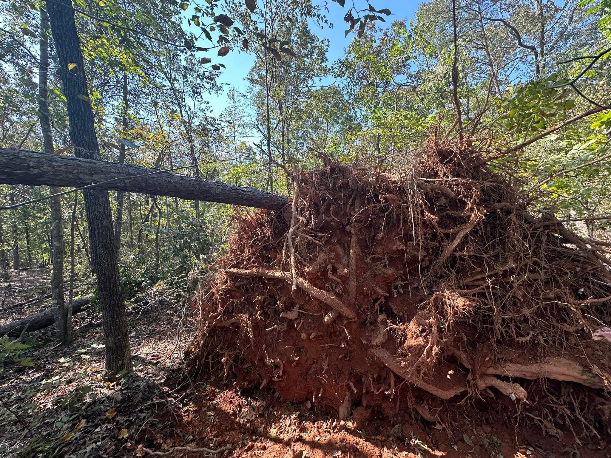 All Photos for The Flip Flop Roofer in Statesville, NC