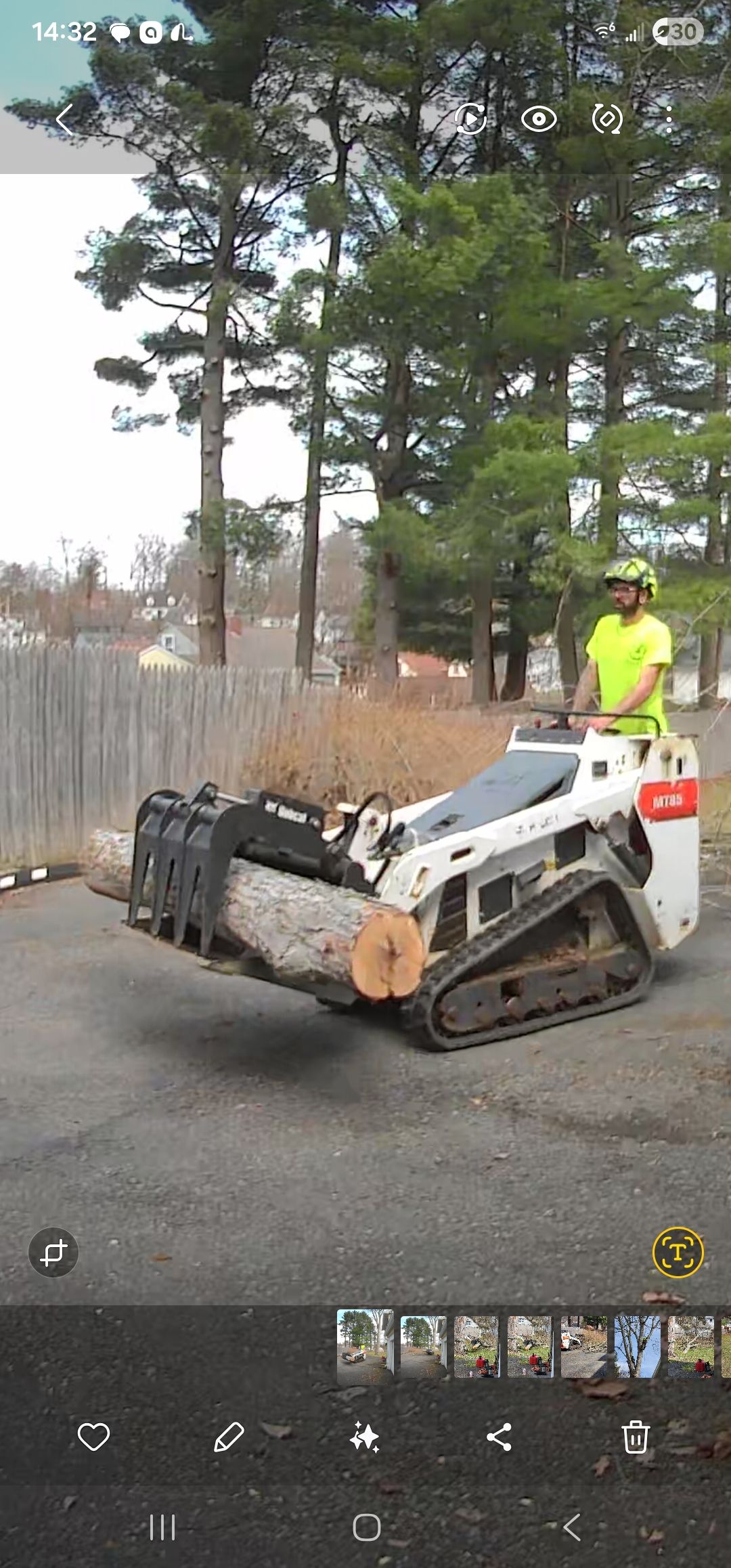 Tree Removal for Licensed to Cut Tree Service in Athens, PA