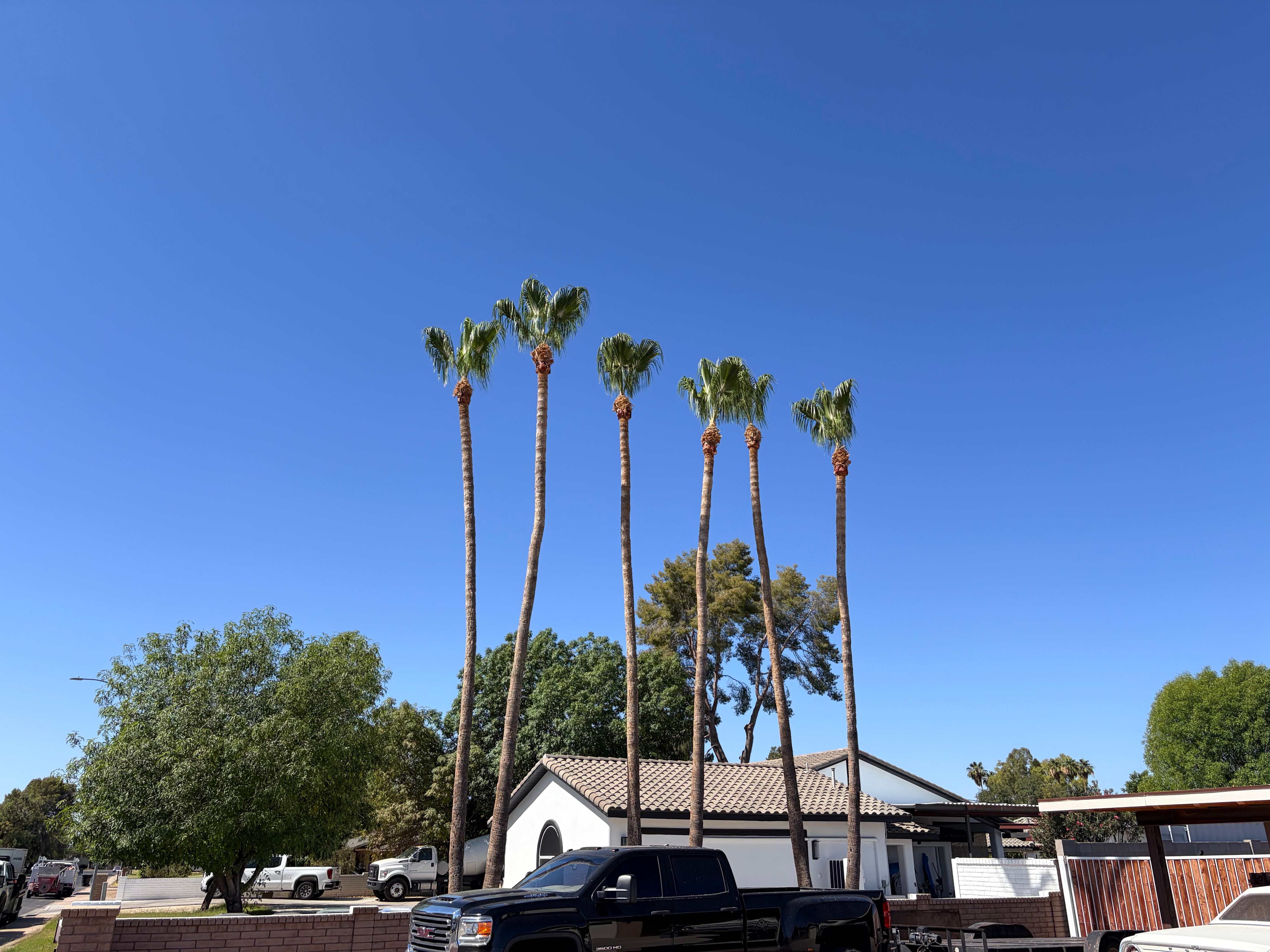  for Copperhead Solution in Phoenix, Arizona