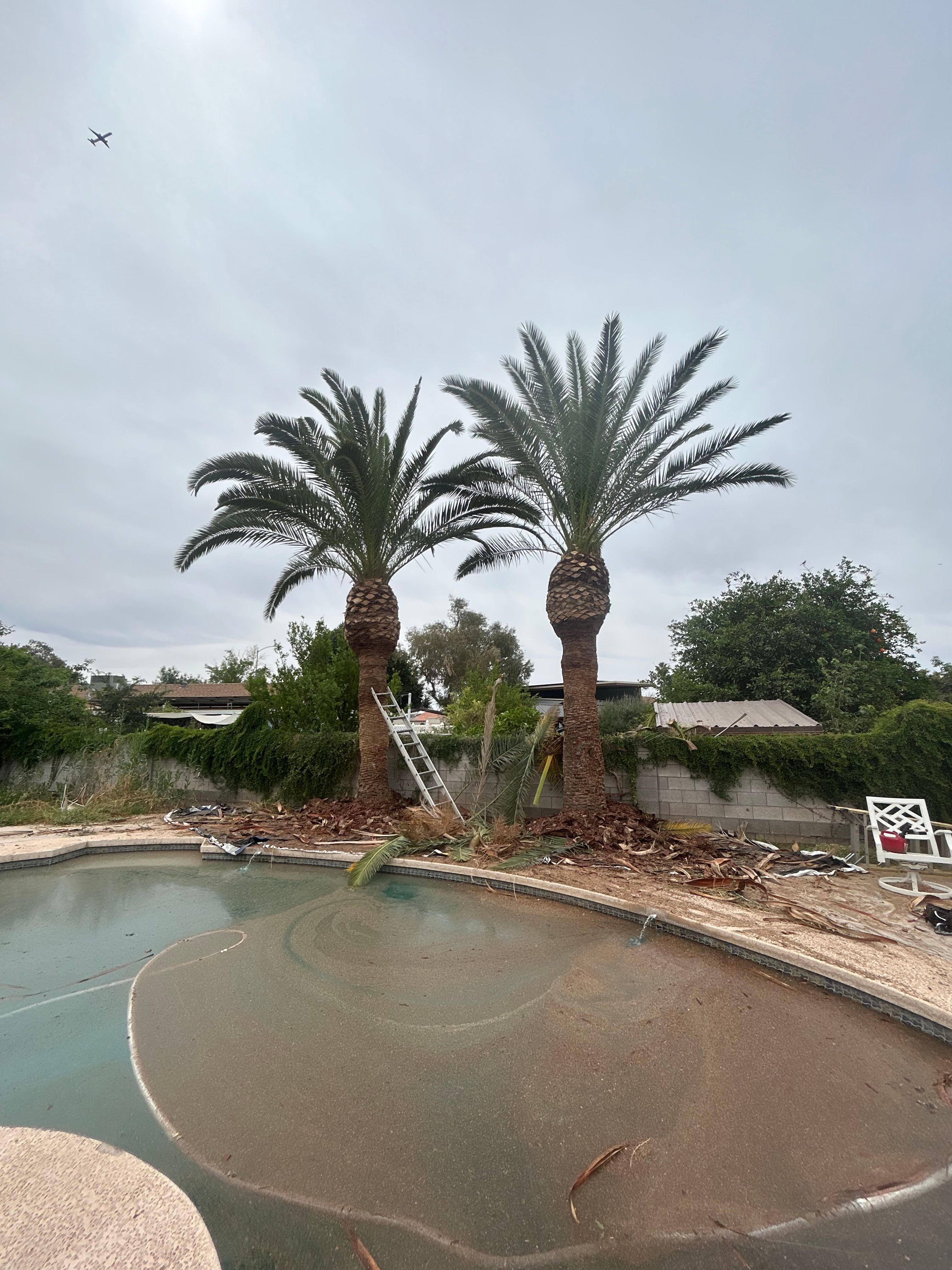  for Copperhead Solution in Phoenix, Arizona