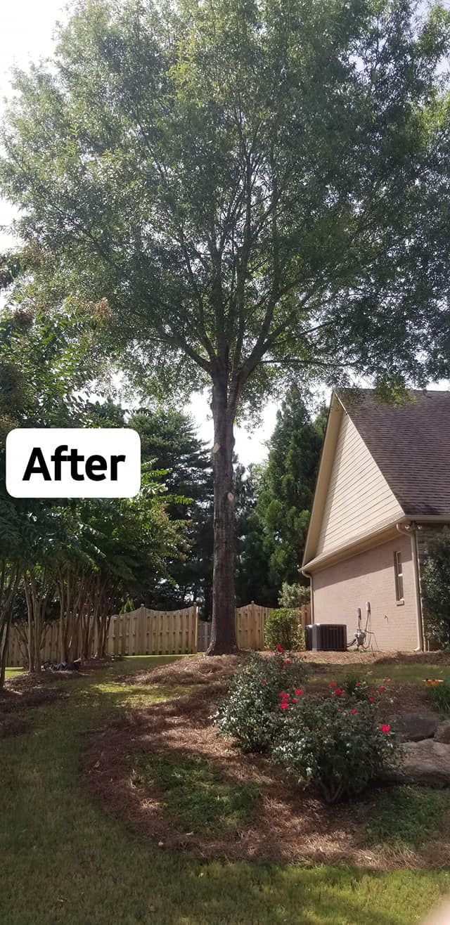  for DNA Tree Service in Birmingham, AL