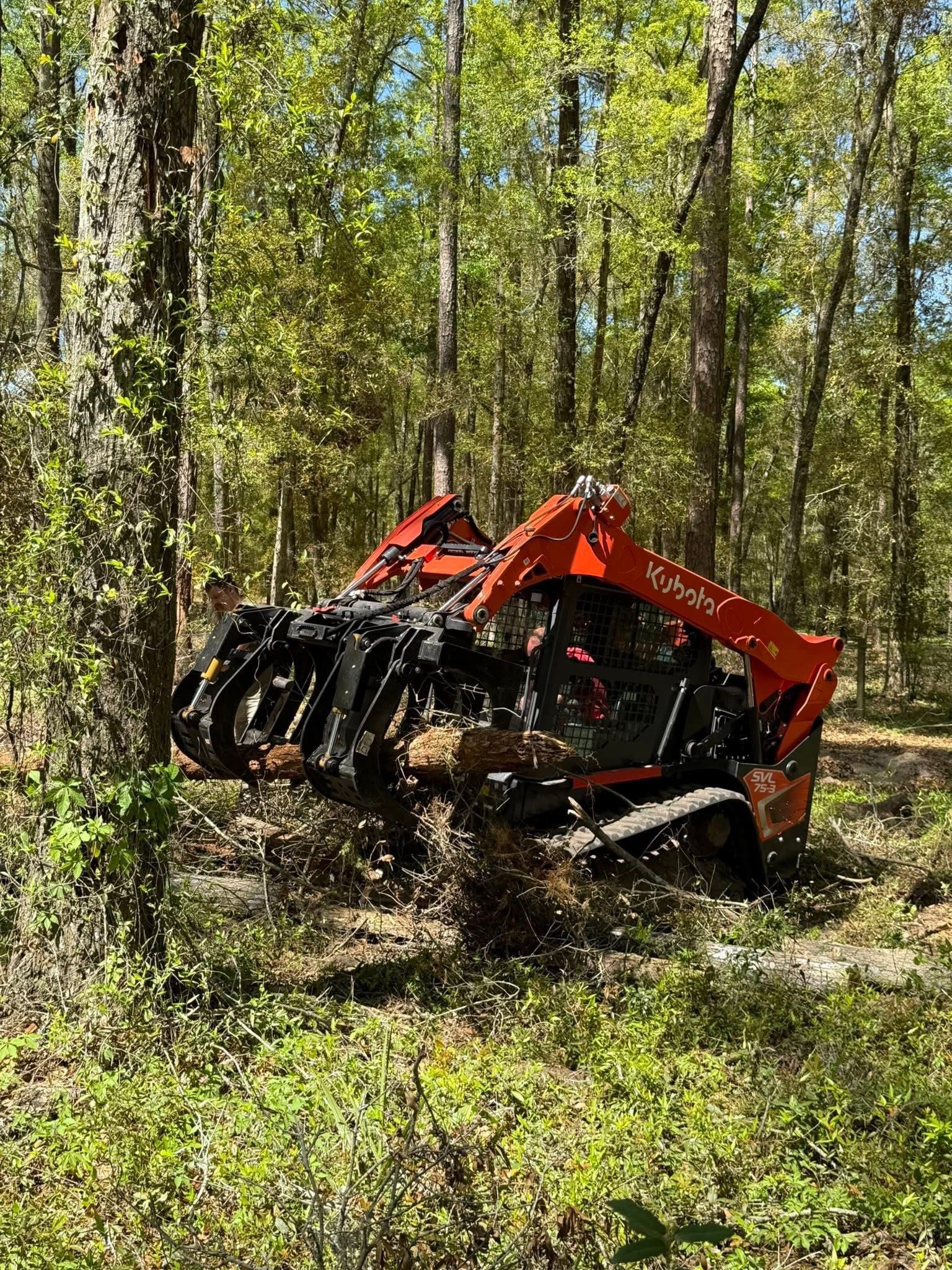  for Family Roots Landworks and Debris Removal in Newberry, FL