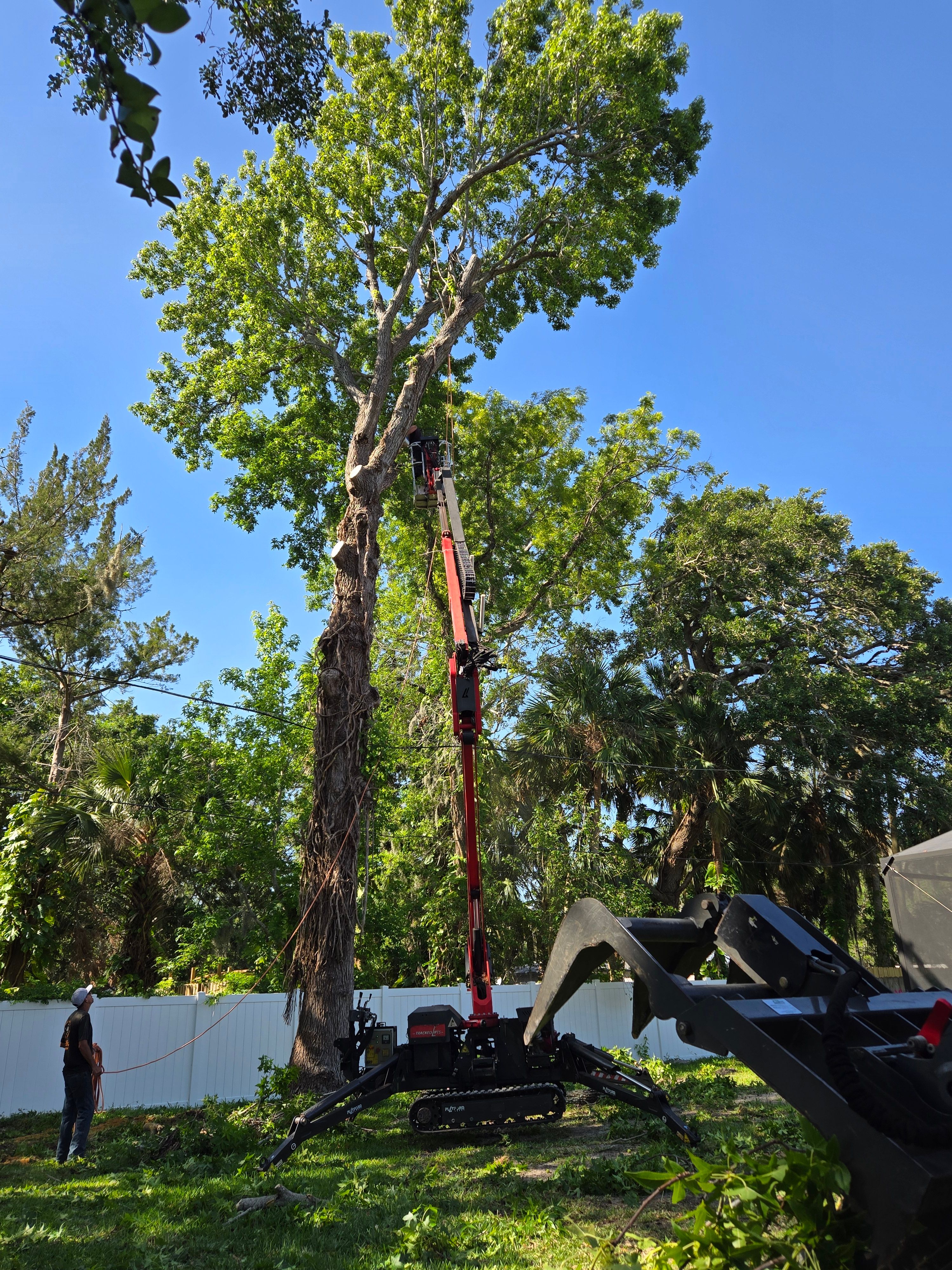 All Photos for Near Me Tree Service, Inc. in DeLand, FL