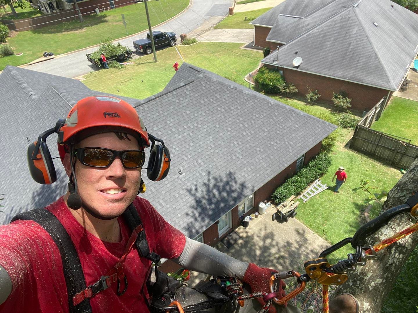 Tree Removal for Pinedown LLC in Cherokee County, GA