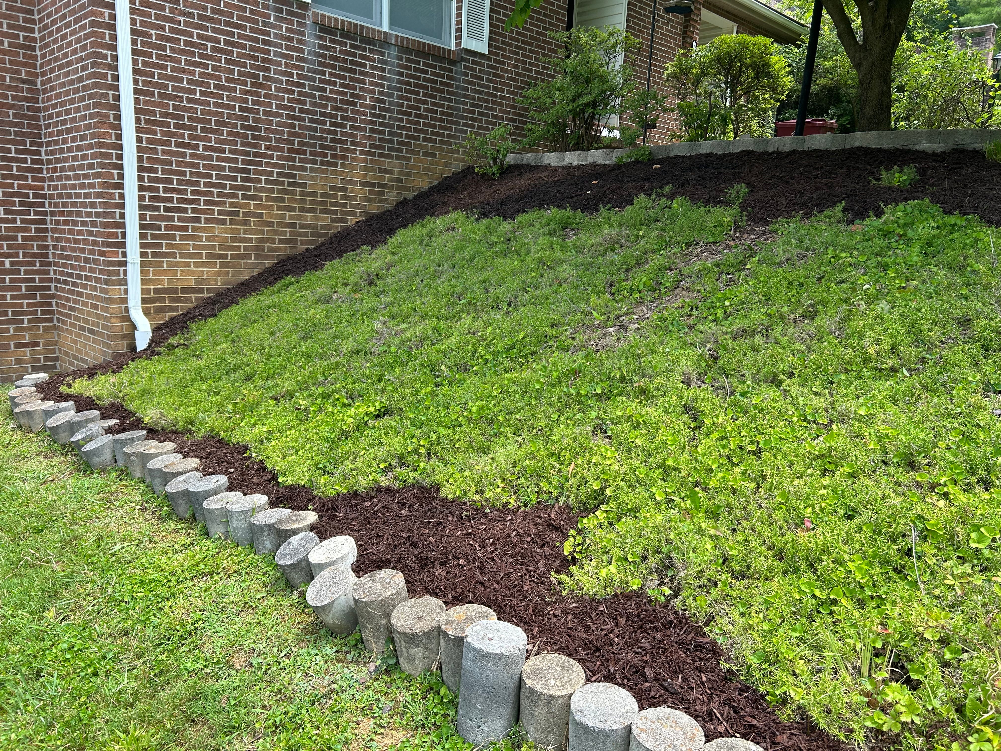 All Photos for Gatrell Landscape & Tree Removal in Bluff City, TN