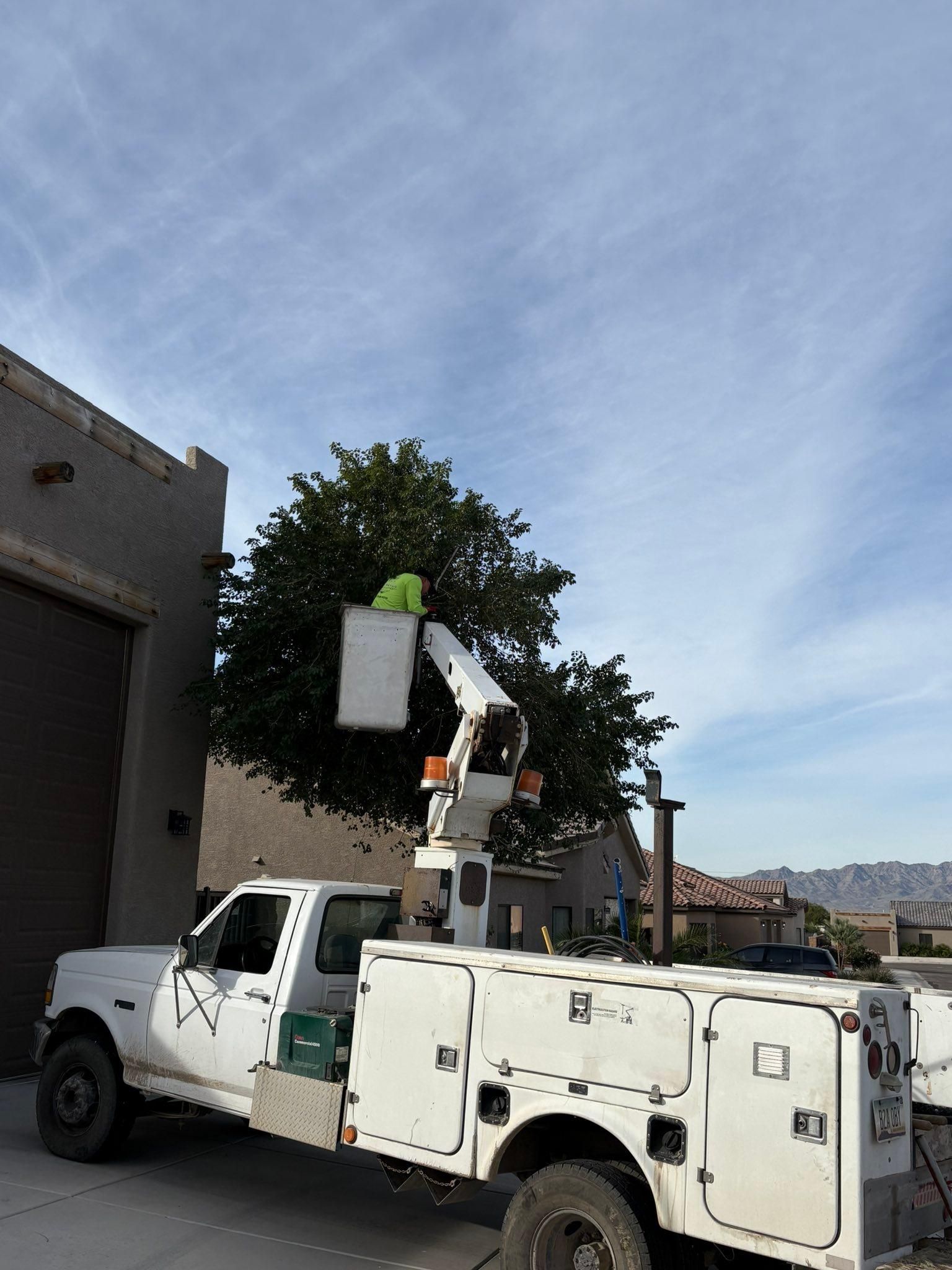  for Top Notch Landscape Services LLC in Mohave Valley, AZ