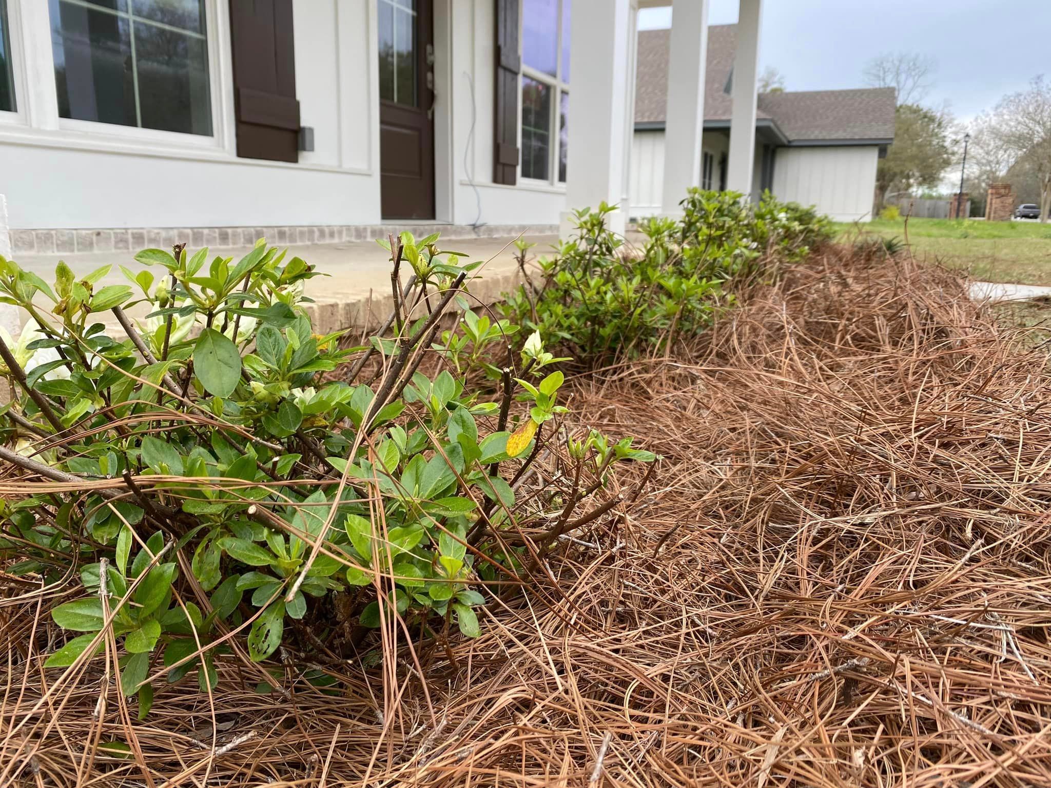  for Grasshopper's Lawn and Landscape in Fairhope, AL