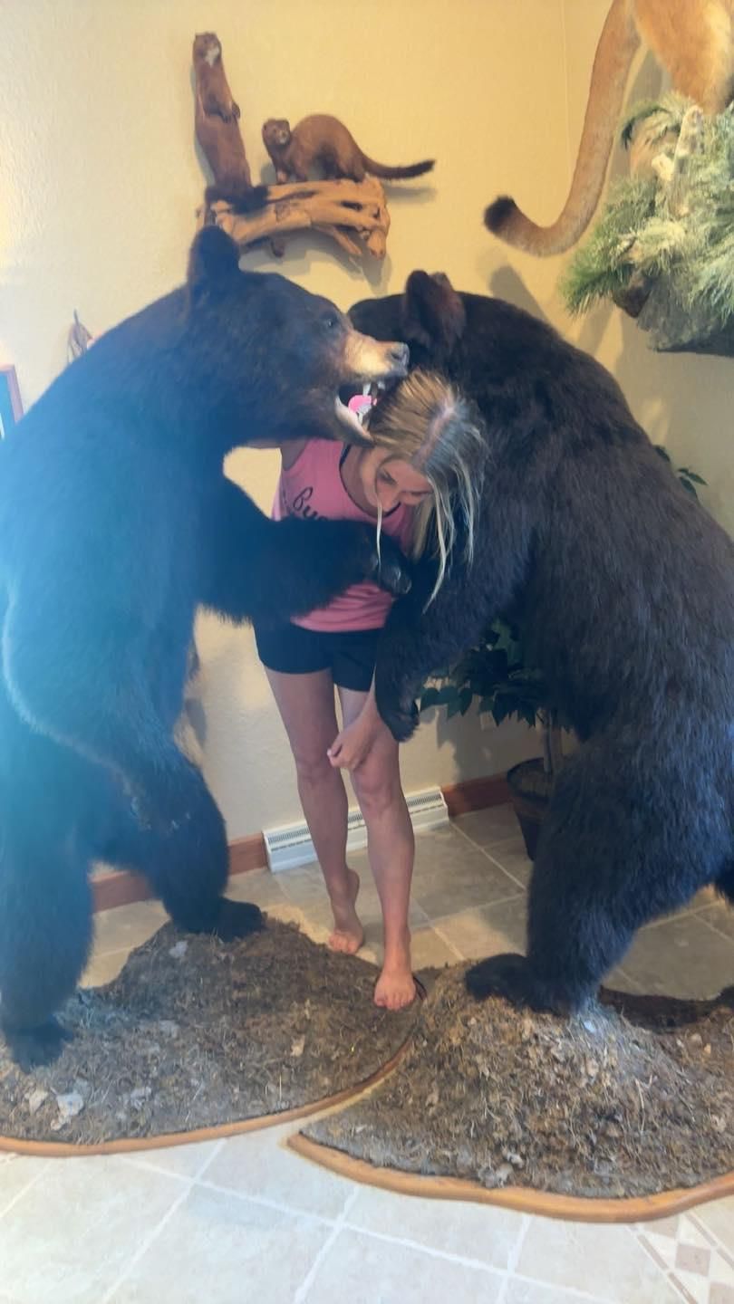 All Photos for Busy B's Professional Cleaning in Birch Run, MI