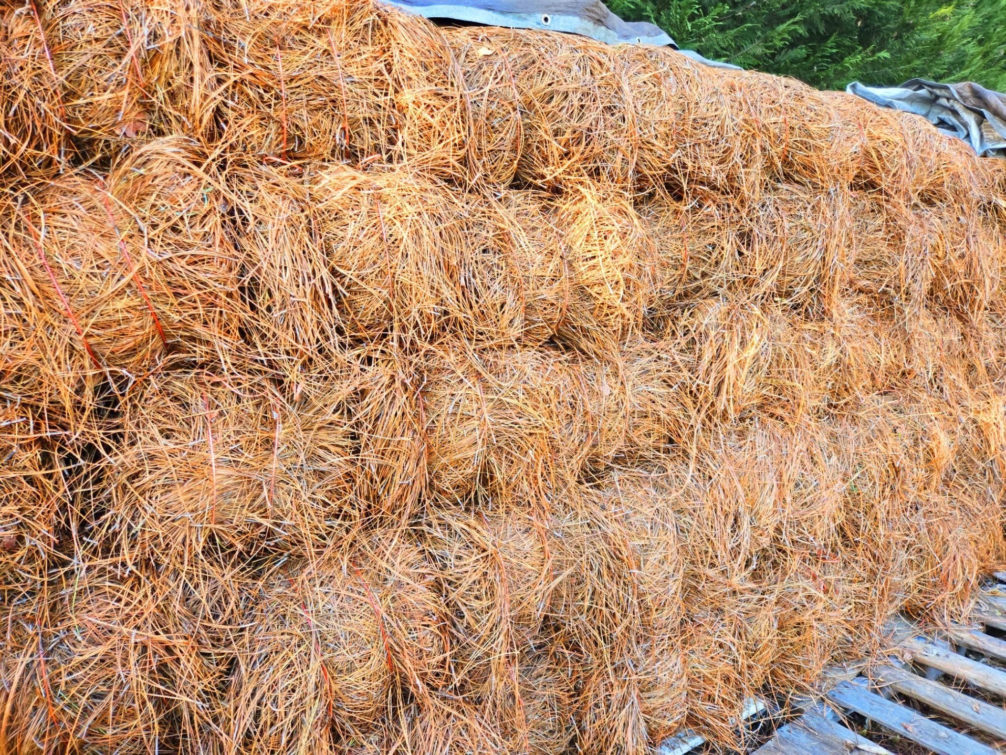  for Zepeda's Mowing in Fort Valley, GA