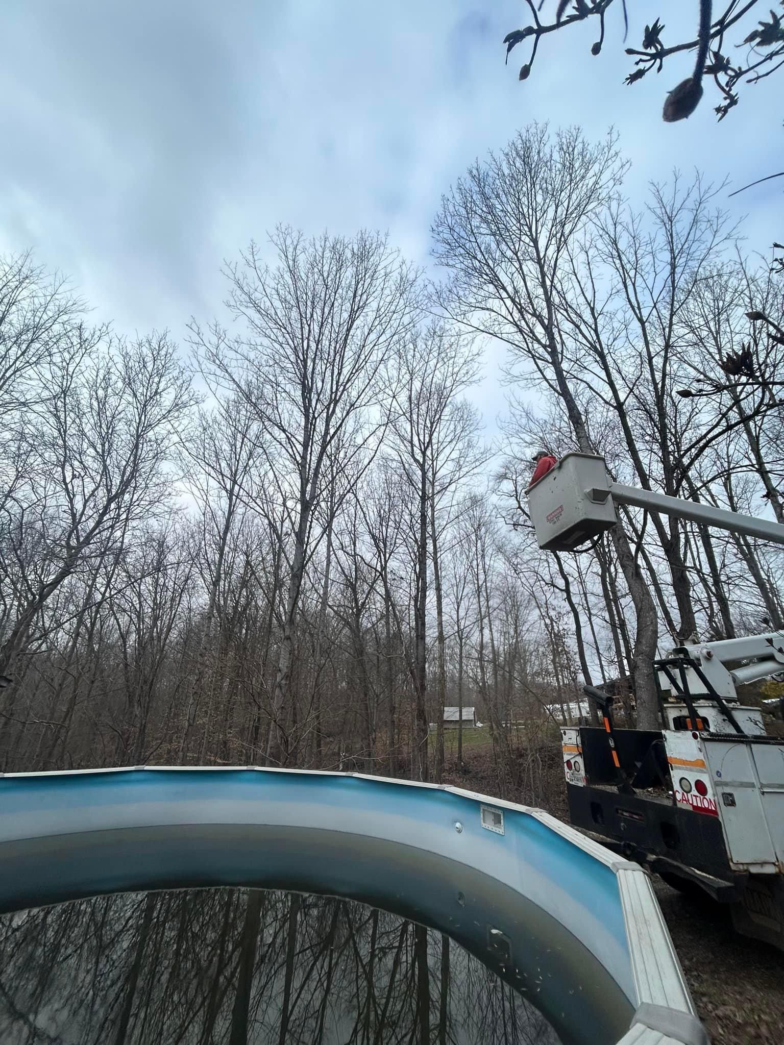 Fall and Spring Clean Up for Atwood’s Tree Care in Liberty,  KY