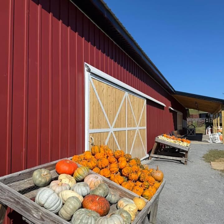  for Five & Two Construction in Maryville, TN