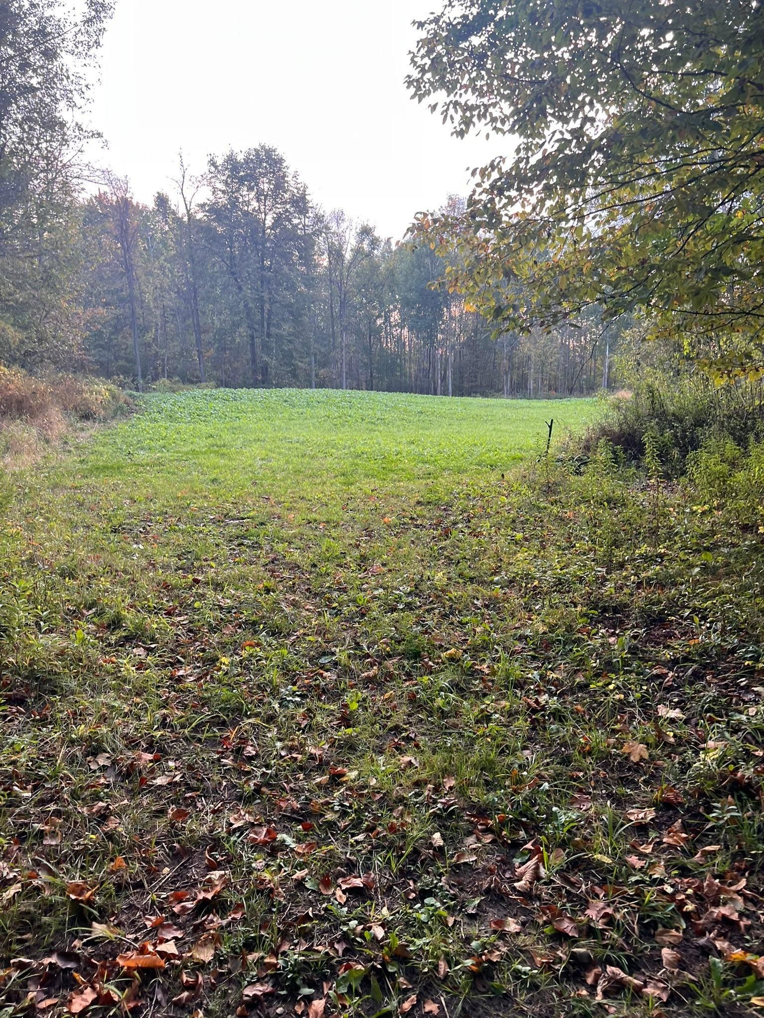  for B & M Land Management in Green Bay, WI