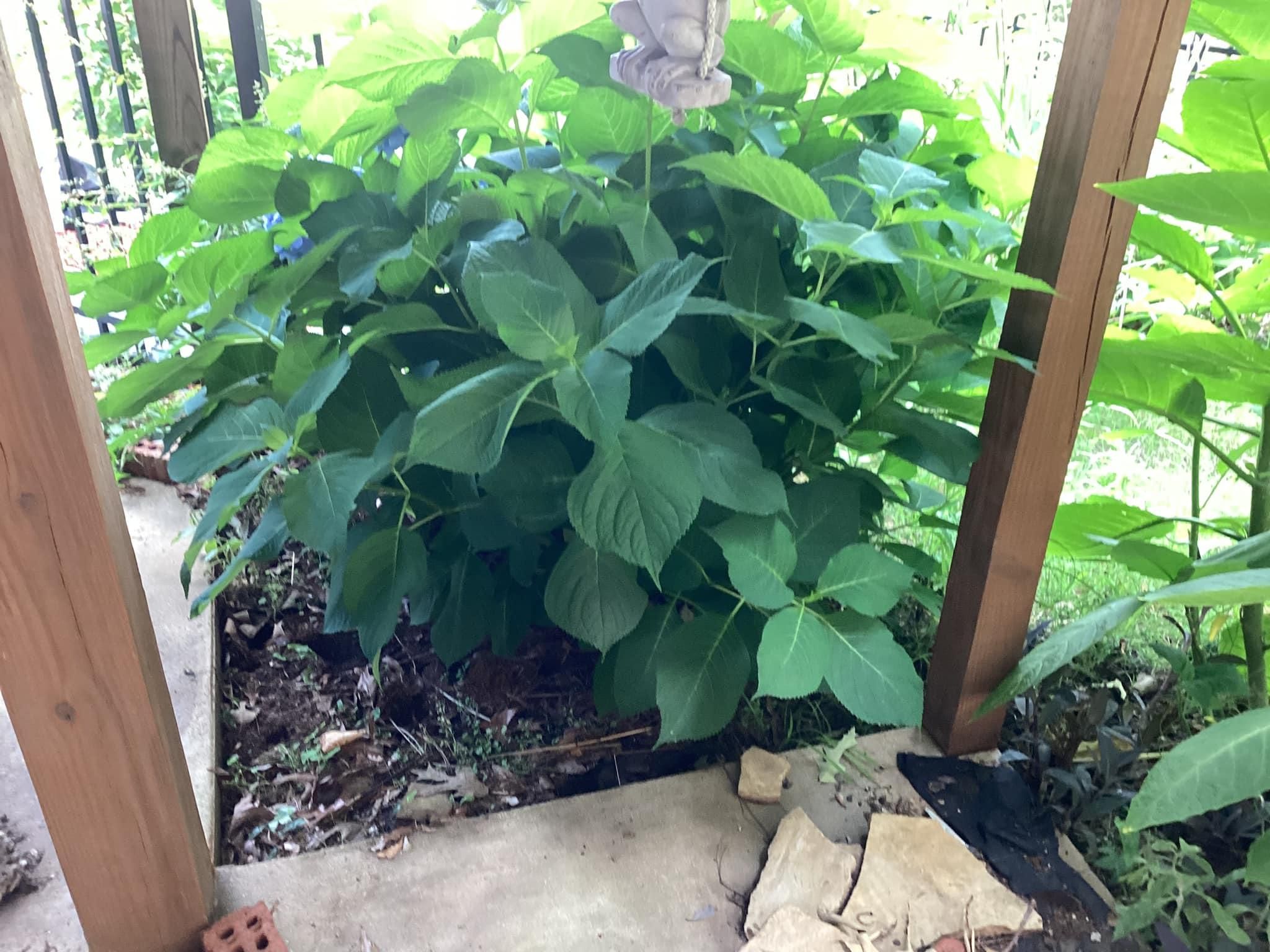  for Xtreme Landscaping & Lawn Care in Lincoln, AL