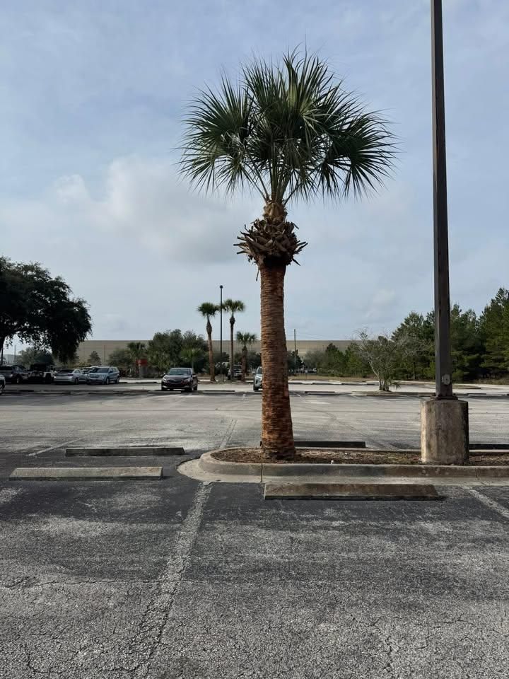 All Photos for Jacksonville Outdoors in Jacksonville, FL