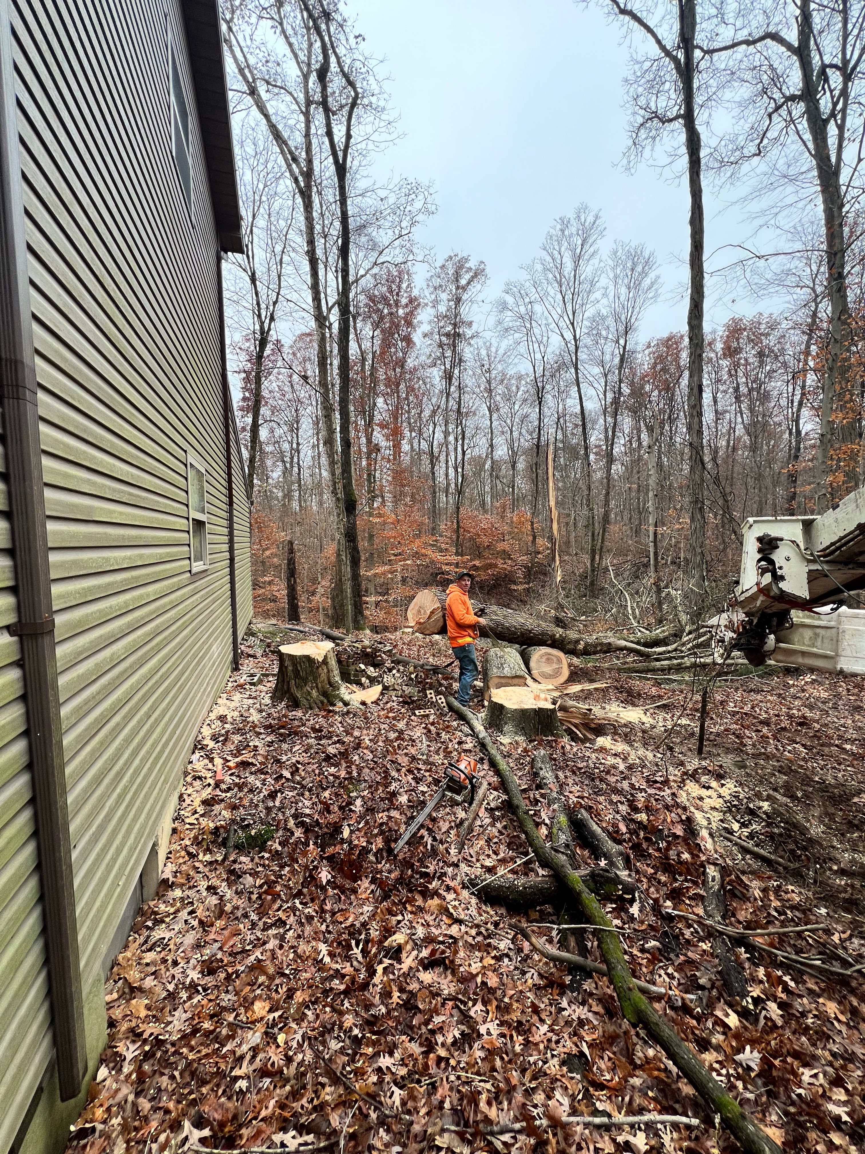All Photos for Kadin’s Tree Service in North Vernon, IN