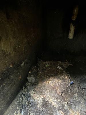  for Reliable Septic Tank Services in Marion County, FL in Reddick, FL