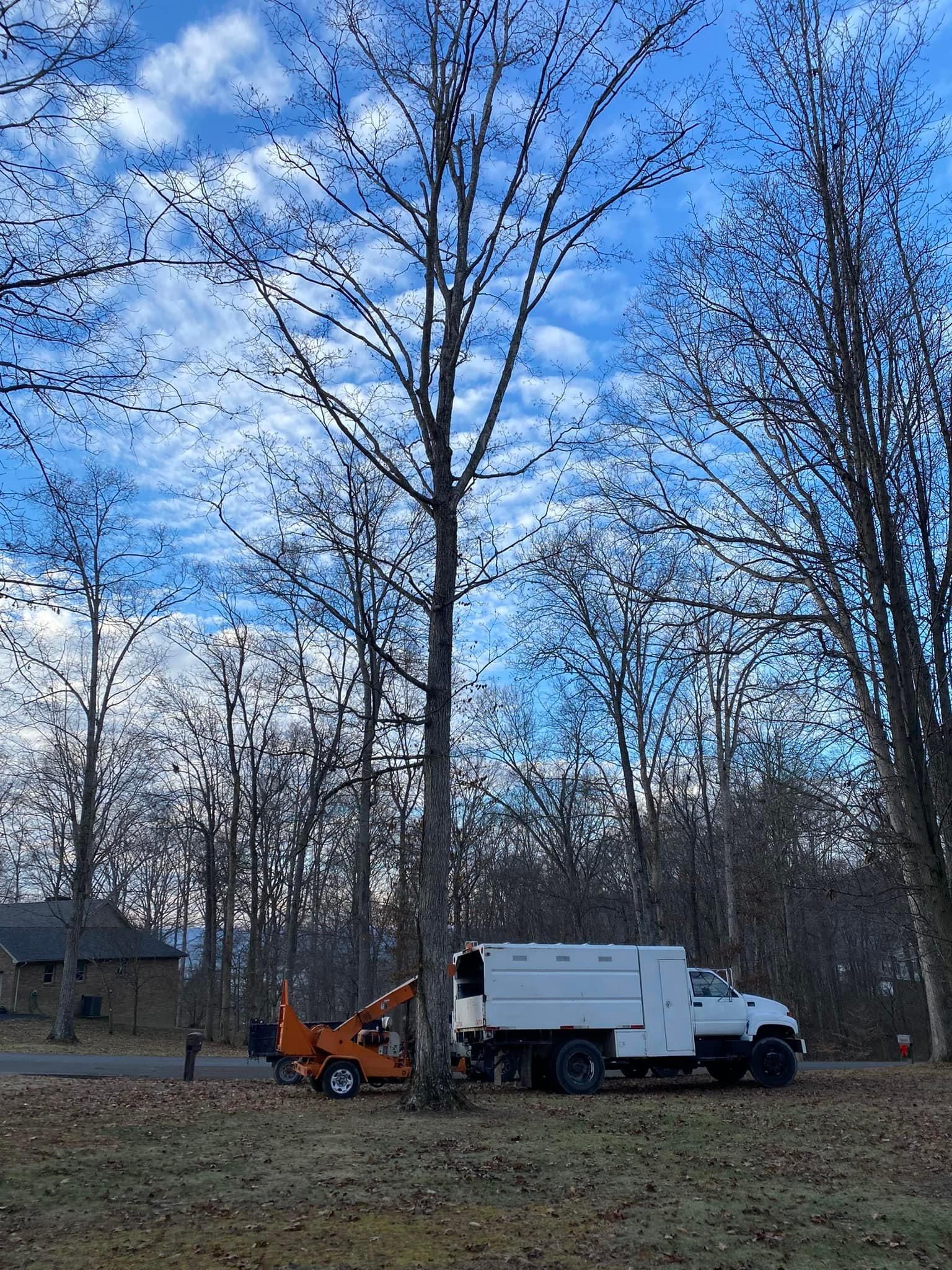 Fall and Spring Clean Up for Atwood’s Tree Care in Liberty,  KY