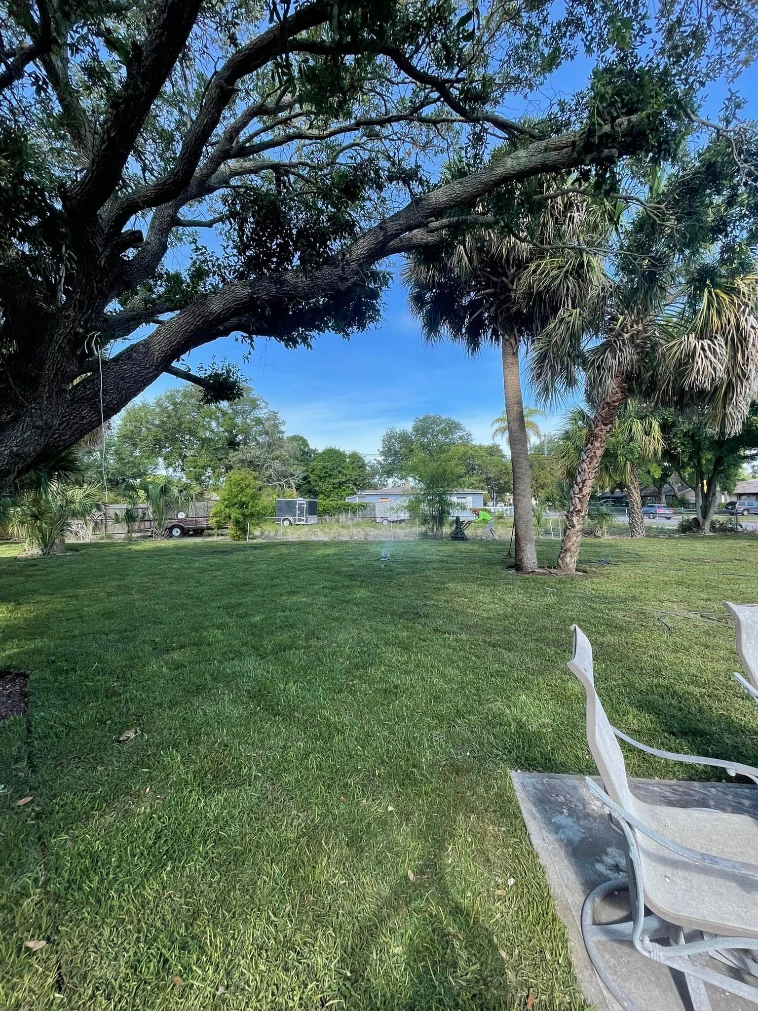  for Gulf Bay Sod in Clearwater, FL