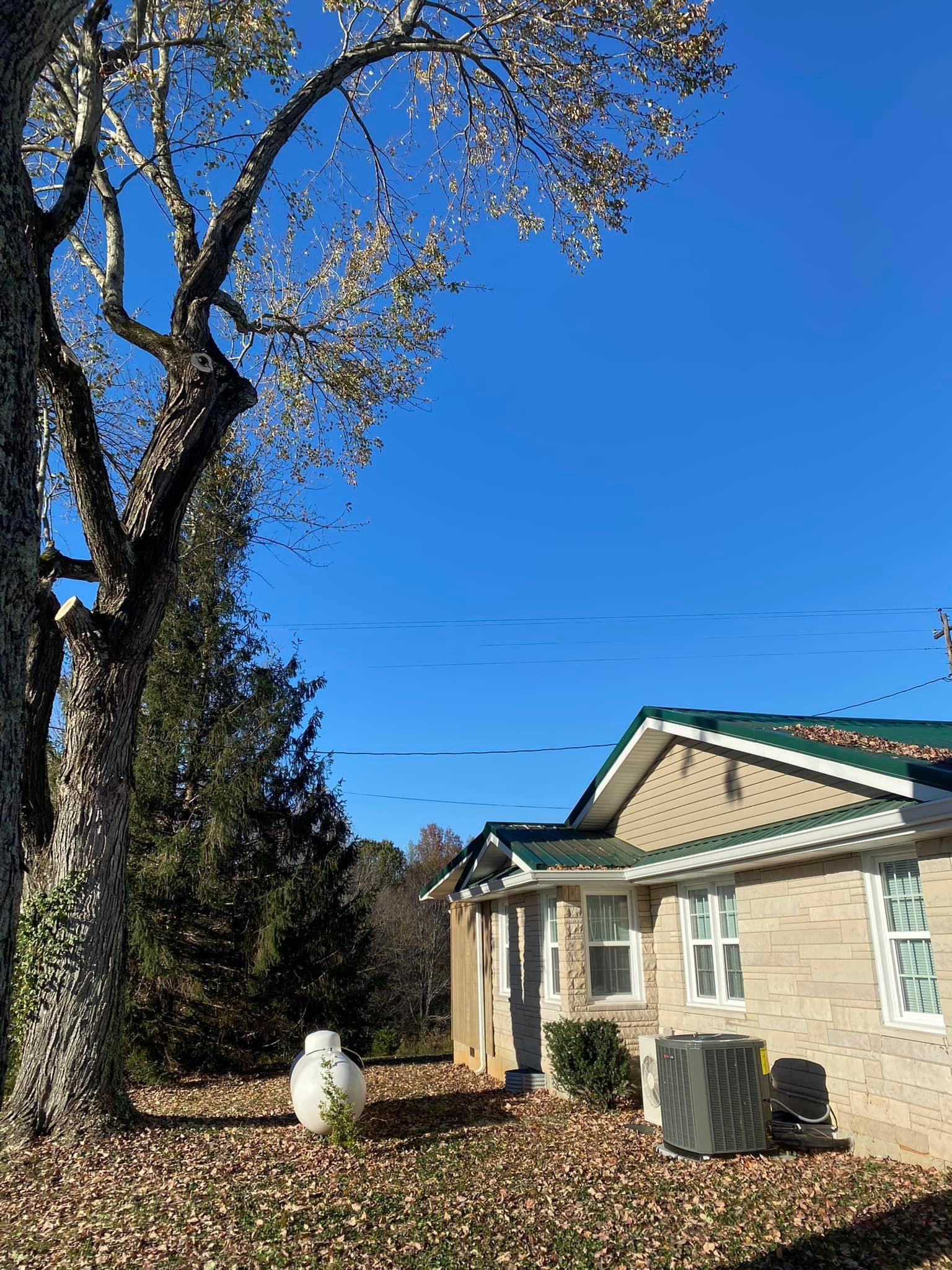 Tree Removal for Atwood’s Tree Care in Liberty,  KY