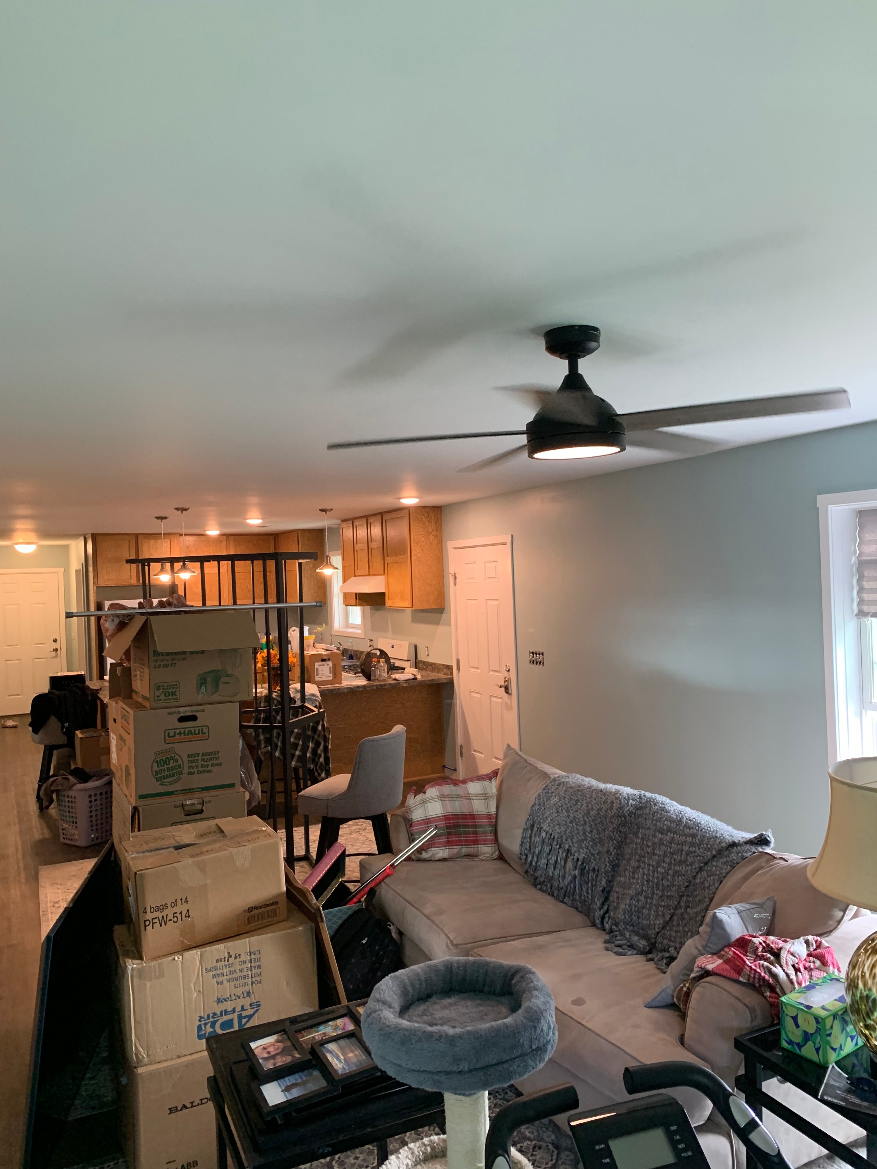  for Staib & Son Painting & Decorating Llc. in Jackson, MI
