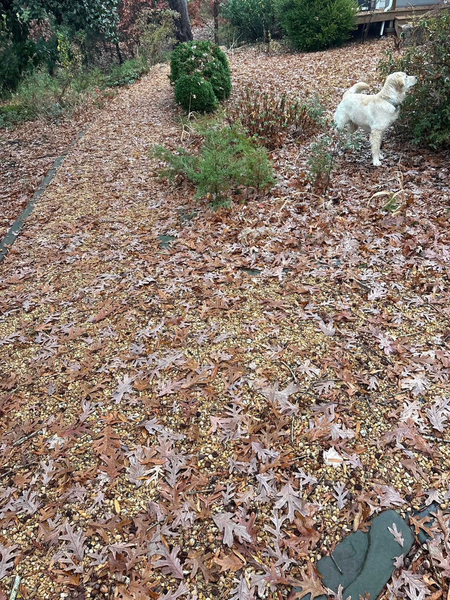 All Photos for Grassworks Lawn And Landscaping in Callao, VA