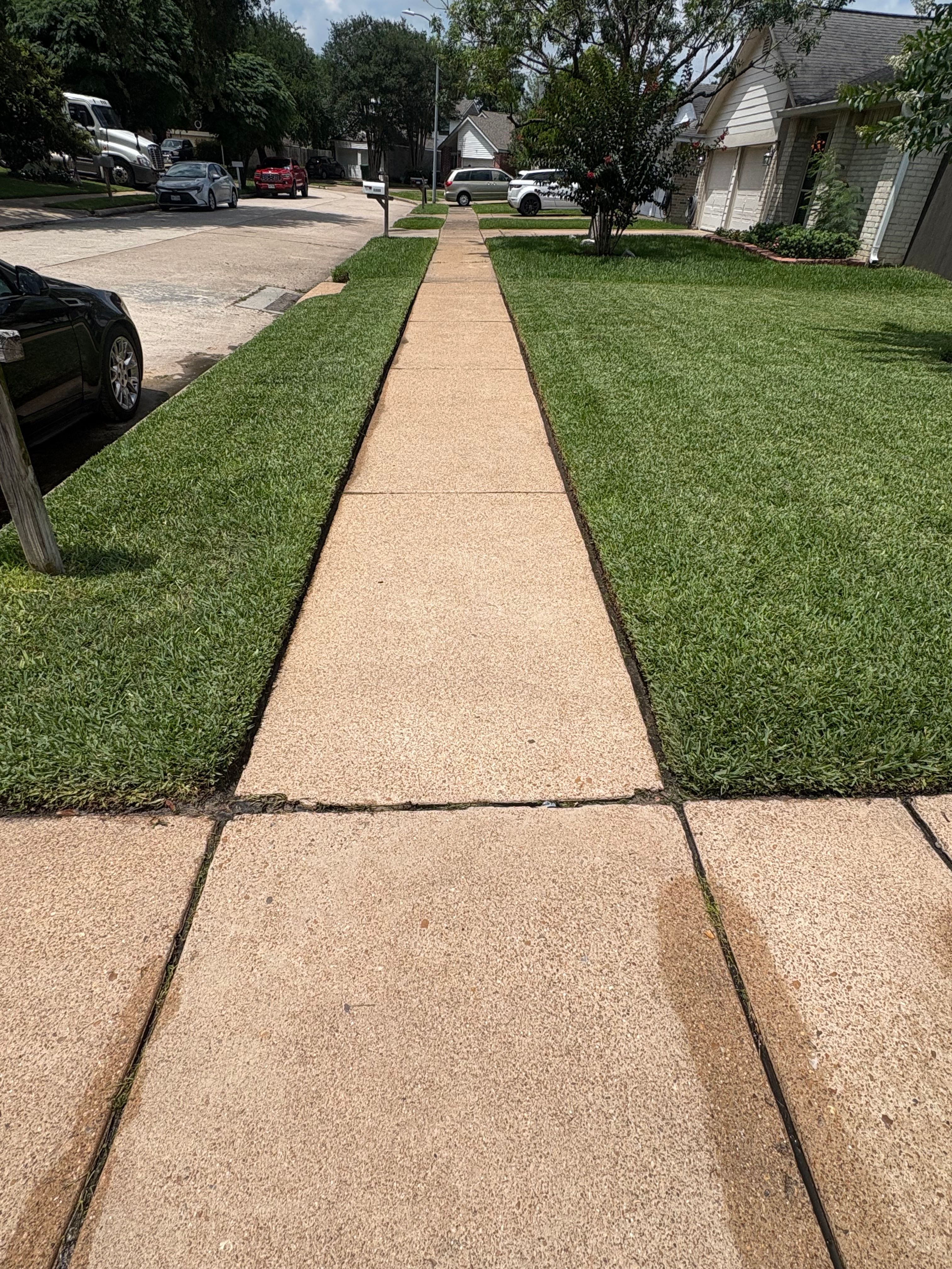  for Omen Exterior Cleaning LLC in Houston, TX