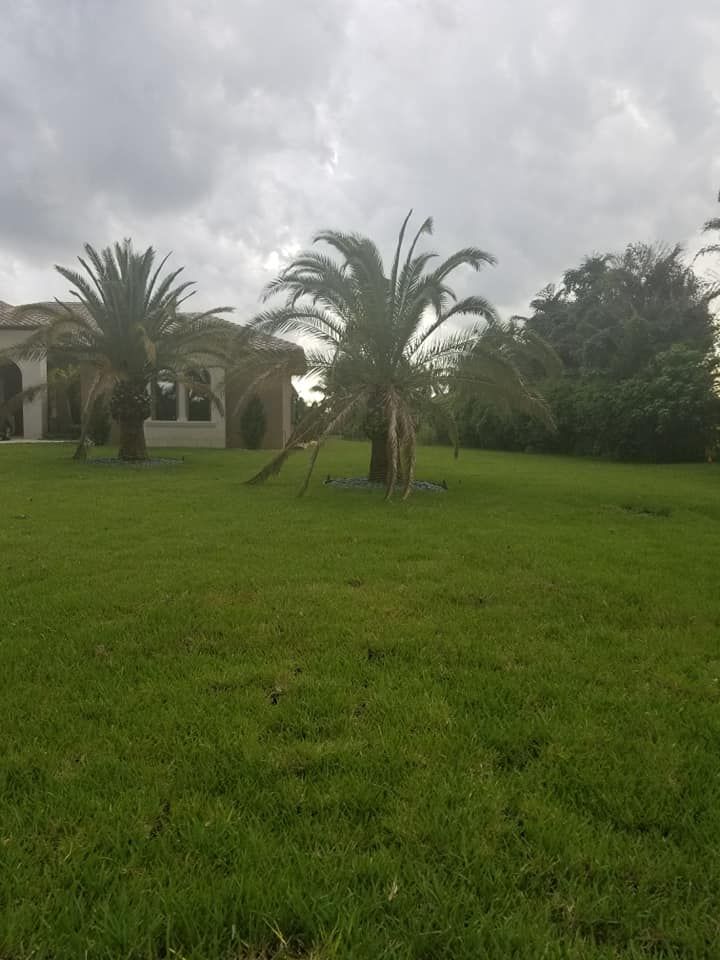  for Clear Water Sprinkler and Irrigation Service in Port Saint Lucie, FL