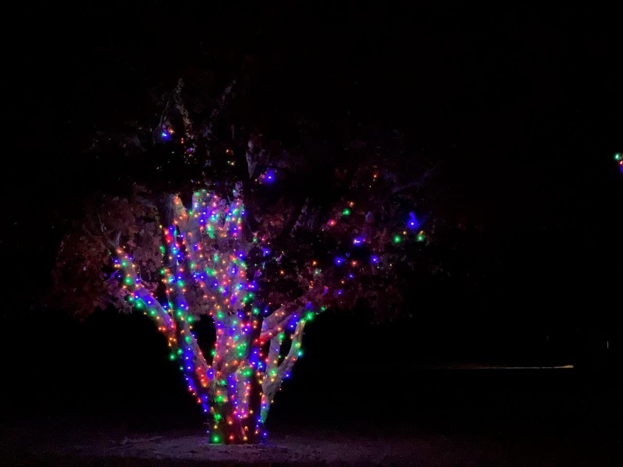  for Happy Holiday Christmas Lighting in Mullica Hill, NJ