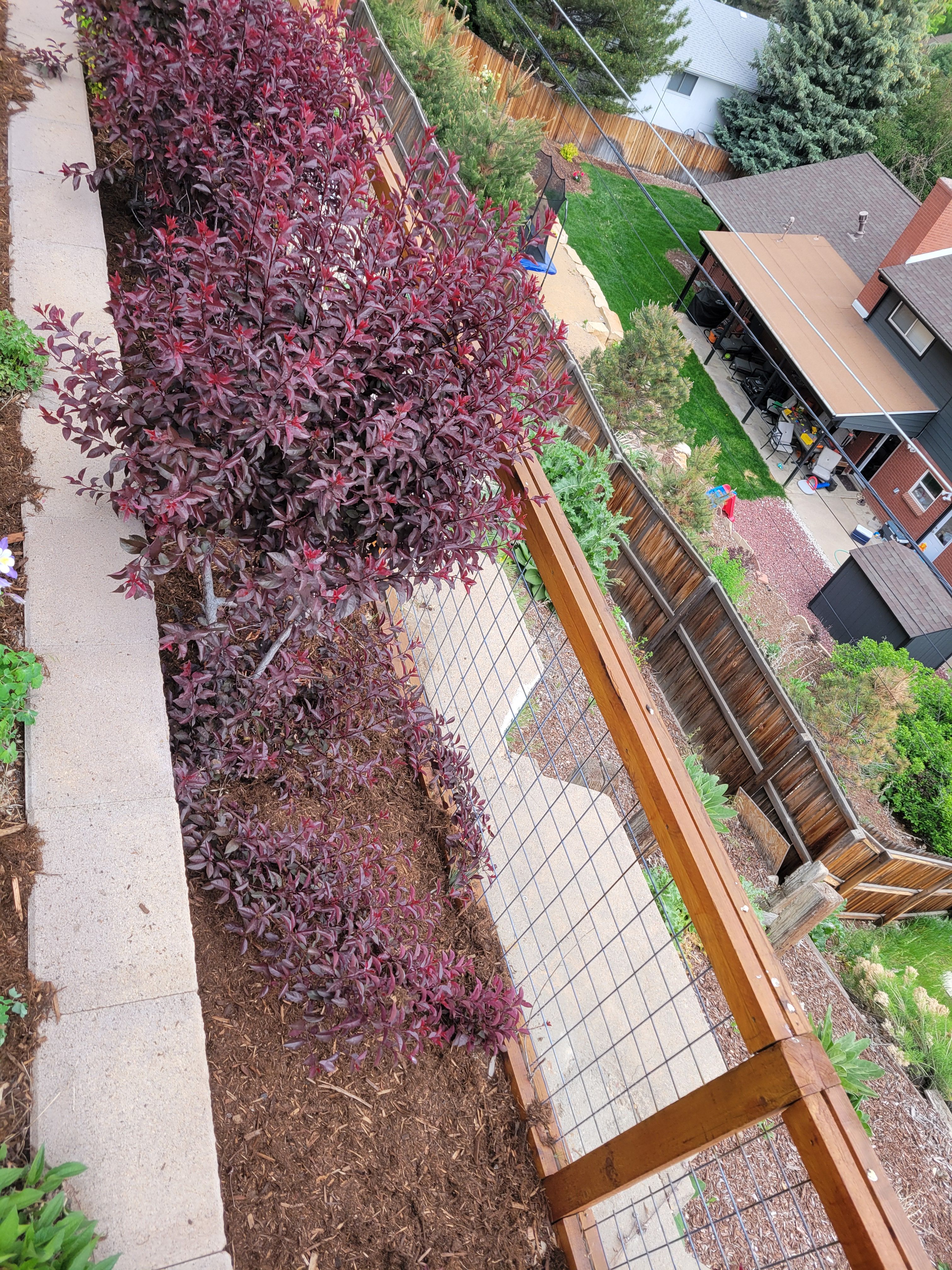  for JS Landscaping Colorado in Denver, CO