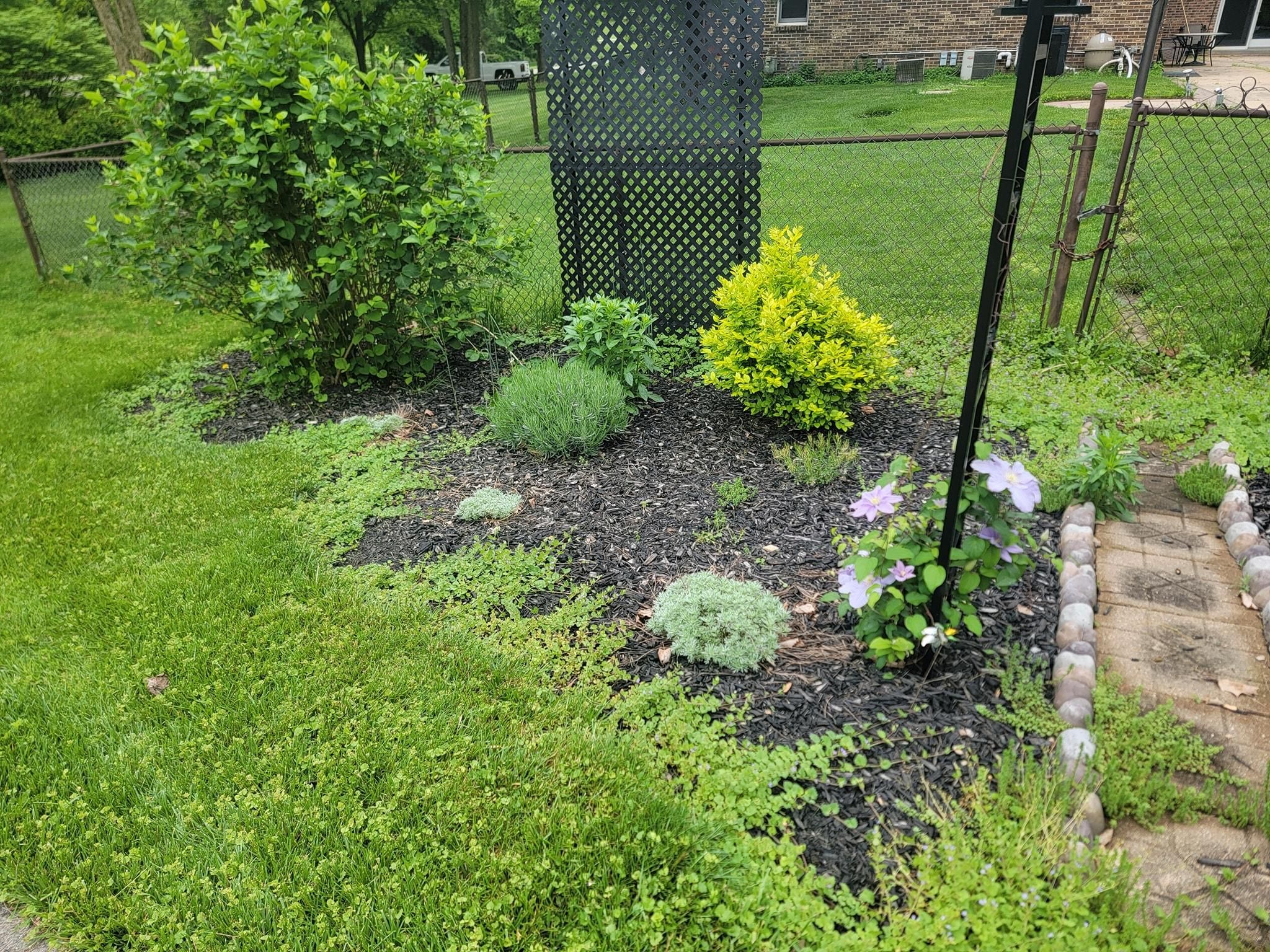 All Photos for Tingley's Green Land Services in Springfield, Ohio