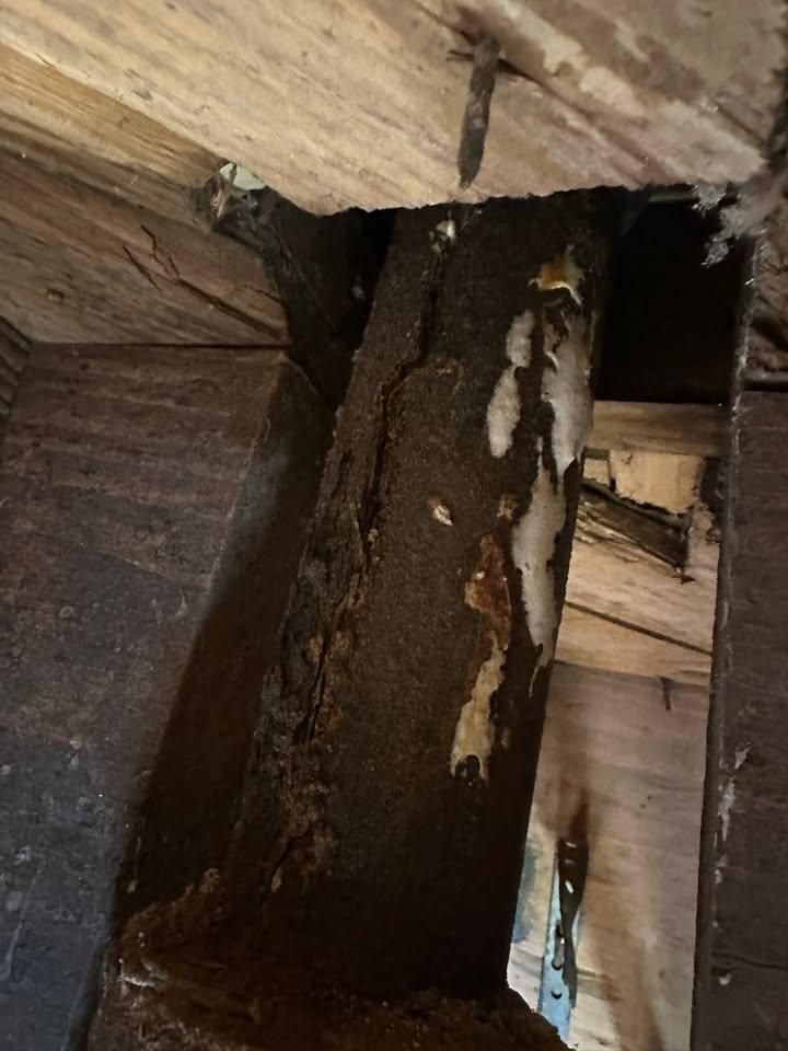  for Nomadic Plumbing in Jacksonville, FL