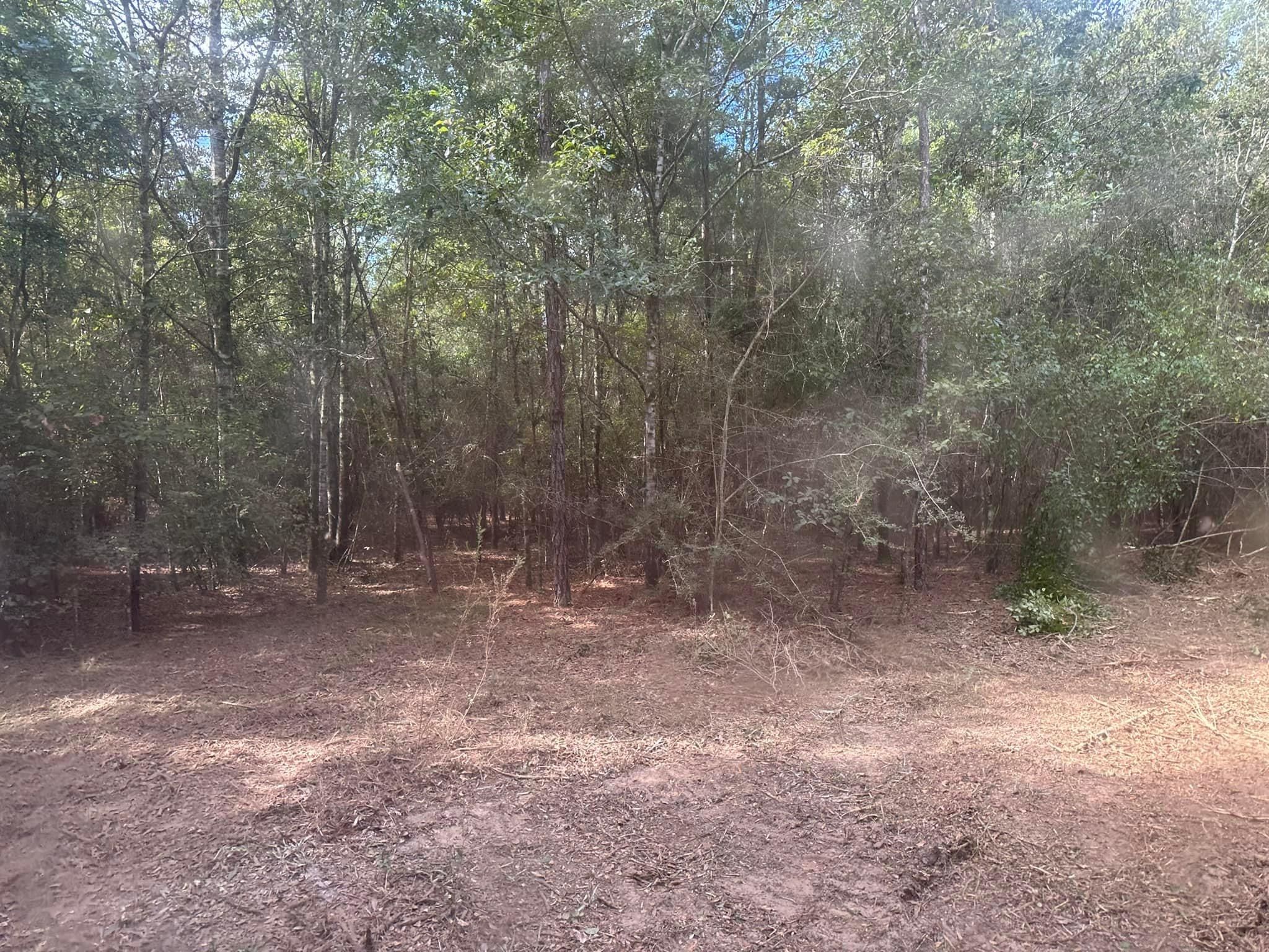 All Photos for White’s Land Maintenance in Milton,, FL