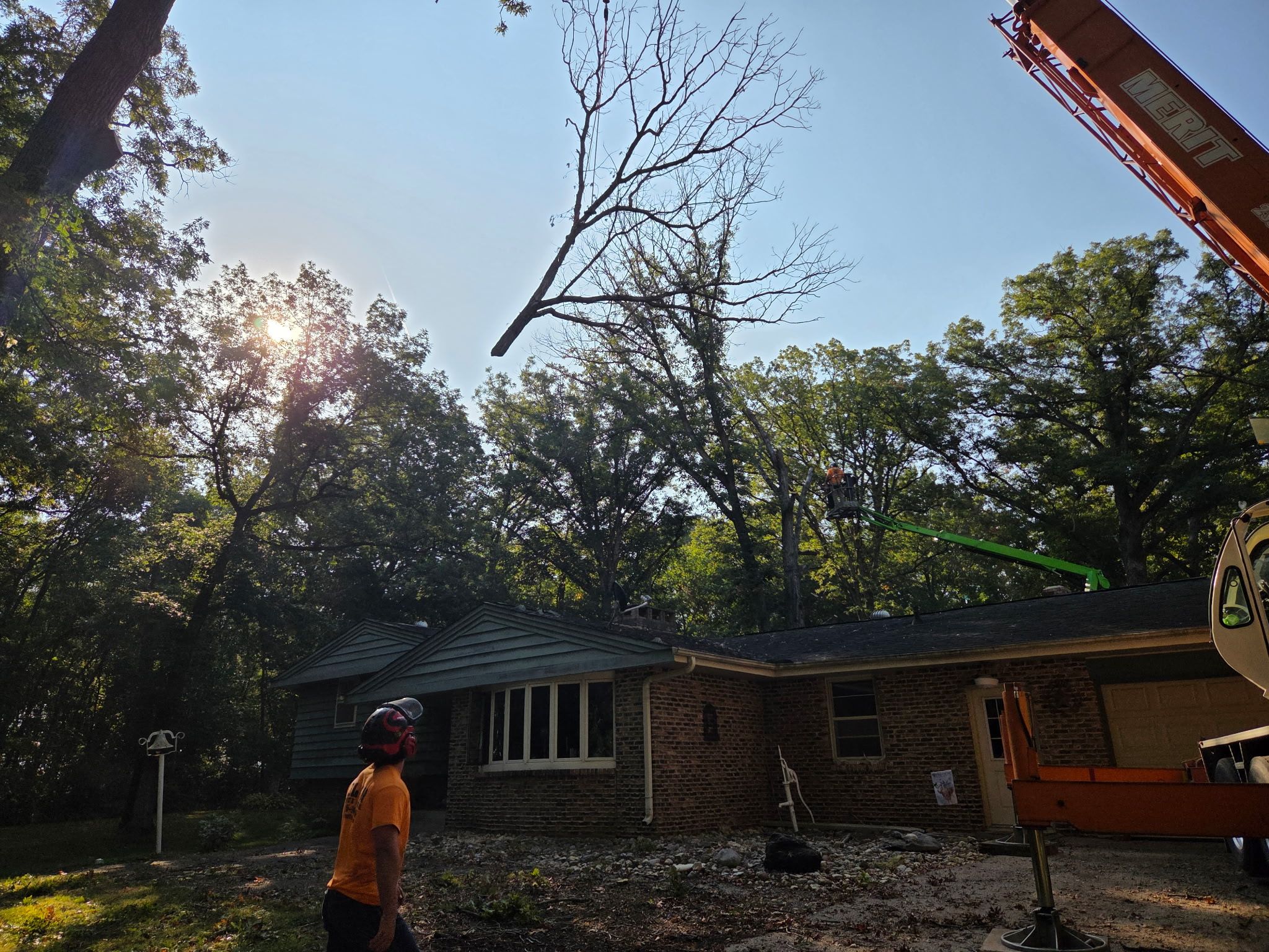 Tree Removal for Olson Tree Service, Inc in Rockford, IL