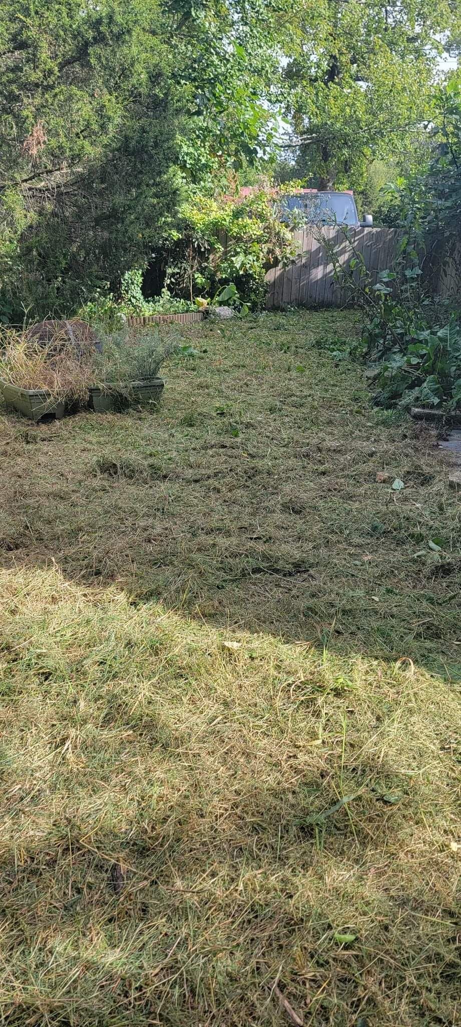 Mowing for Hart and Sons in Transylvania County, North Carolina