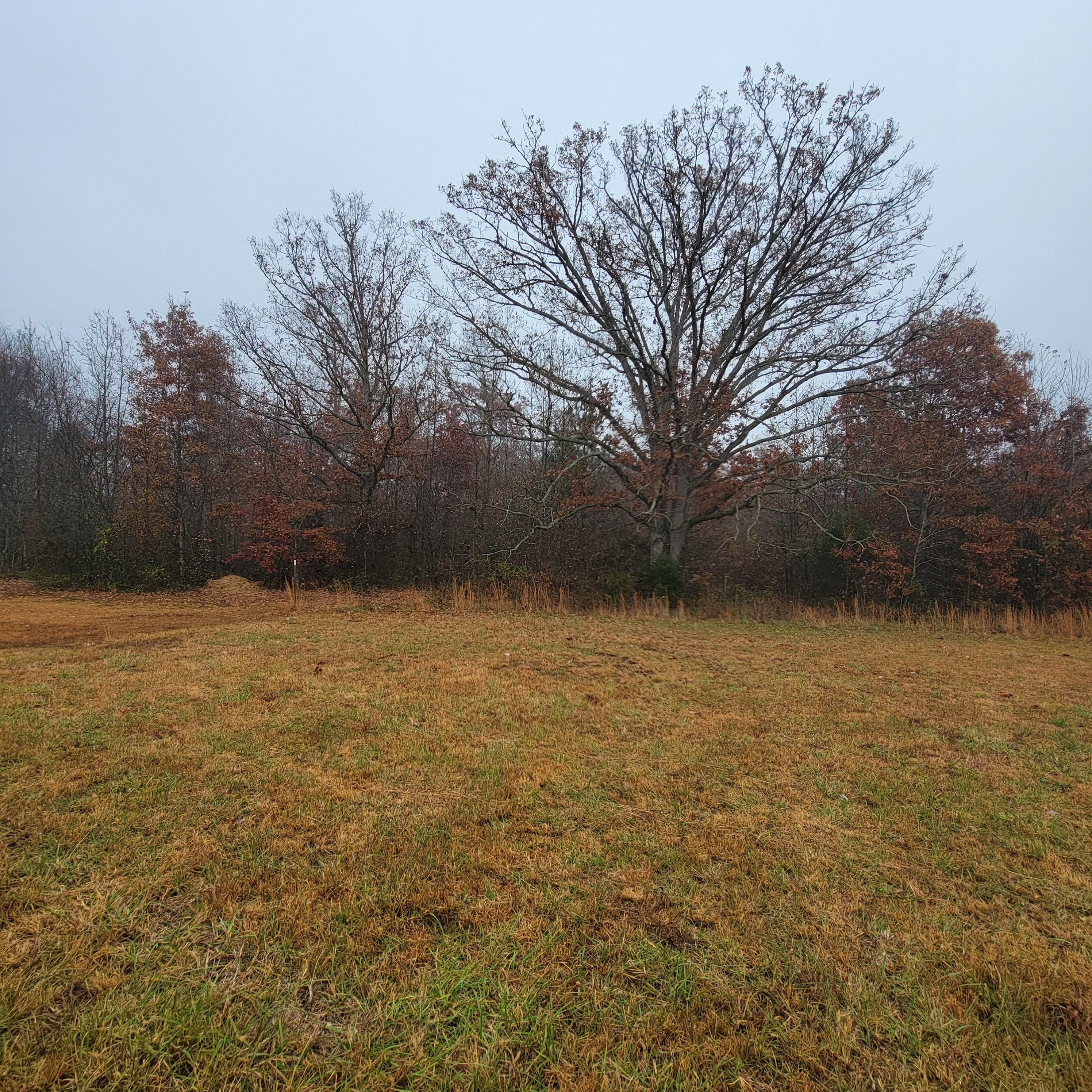  for Z's Land Management & Forestry Mulching in Smithville, TN