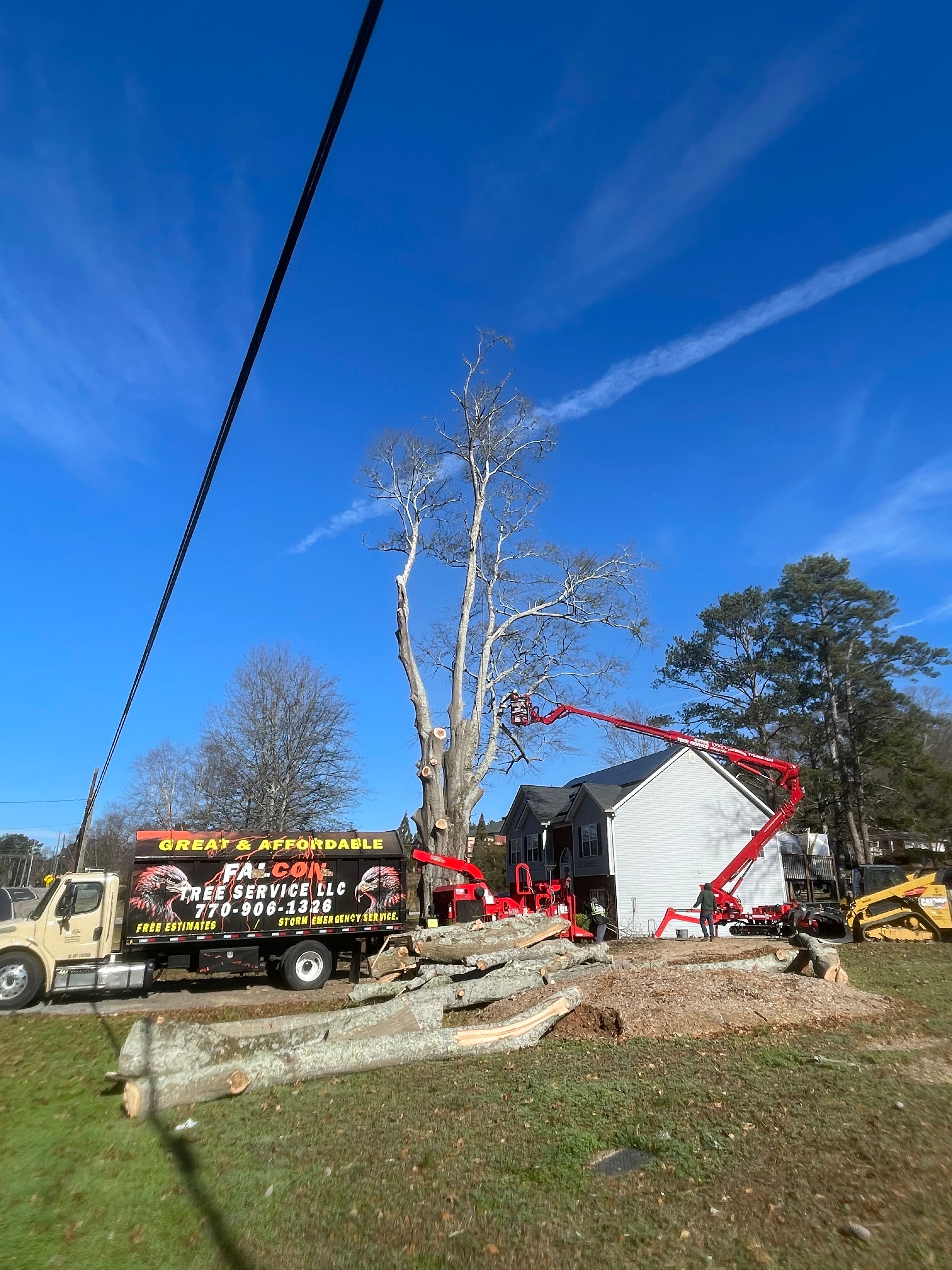  for Falcon stump grinding Tree services in Snellville, GA