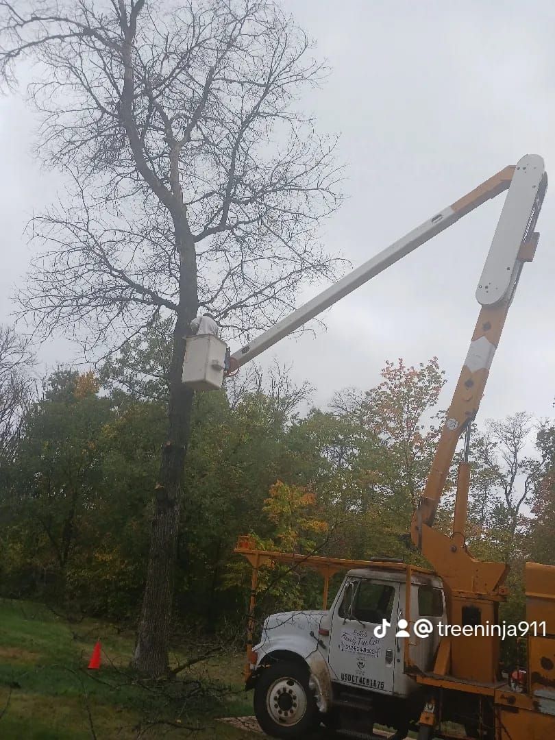 Tree Removal for Buffalo Family Tree Care in Buffalo, MN