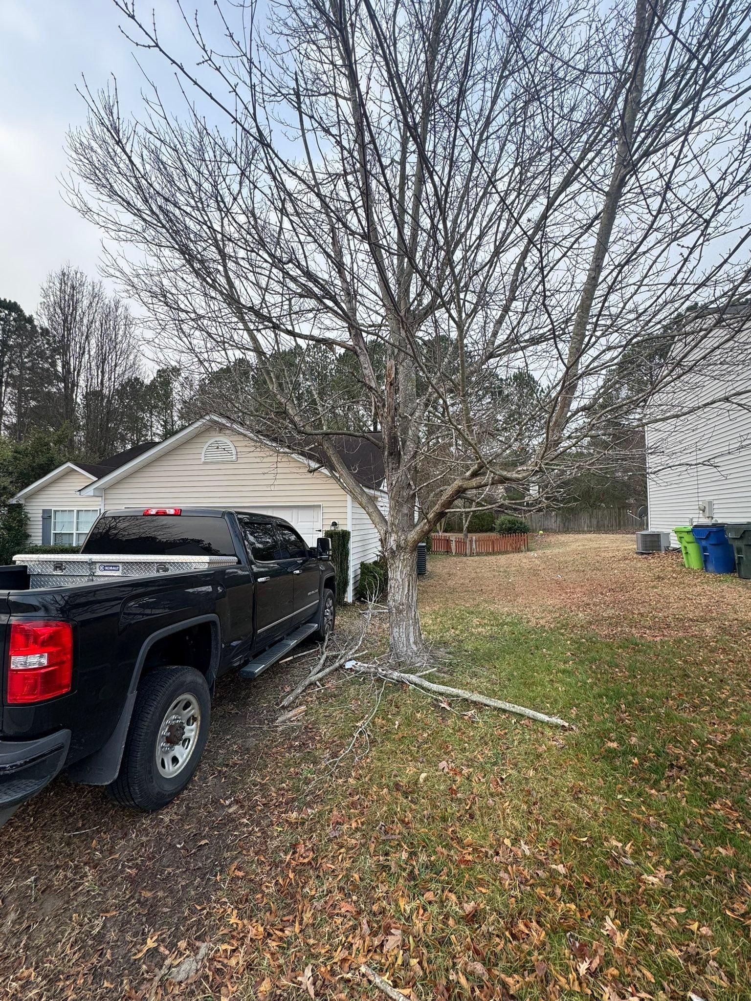  for Pedro's Tree Removal in Charlotte, NC