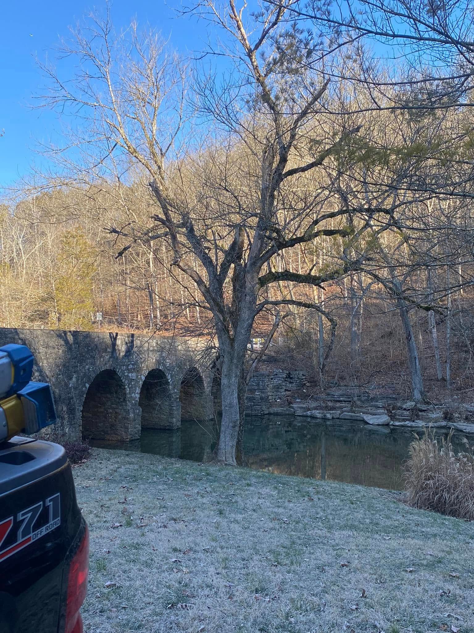  for Timber Ninja Service in Lexington, KY